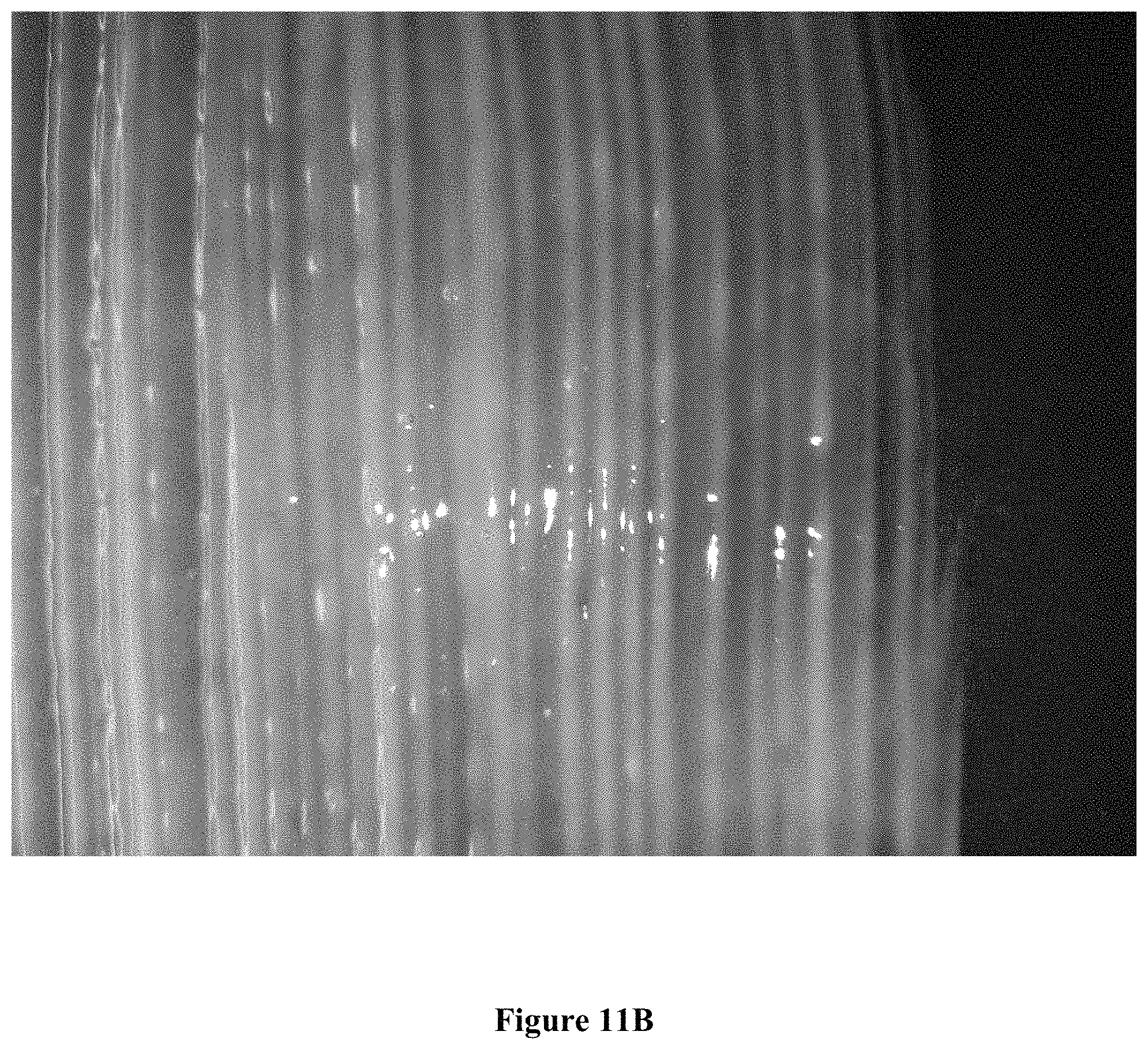 Patent US11771649 Figure 12 – Pharmaceutical lotion or salve utilizing mixed metal hydroxide antimicrobial charged particles