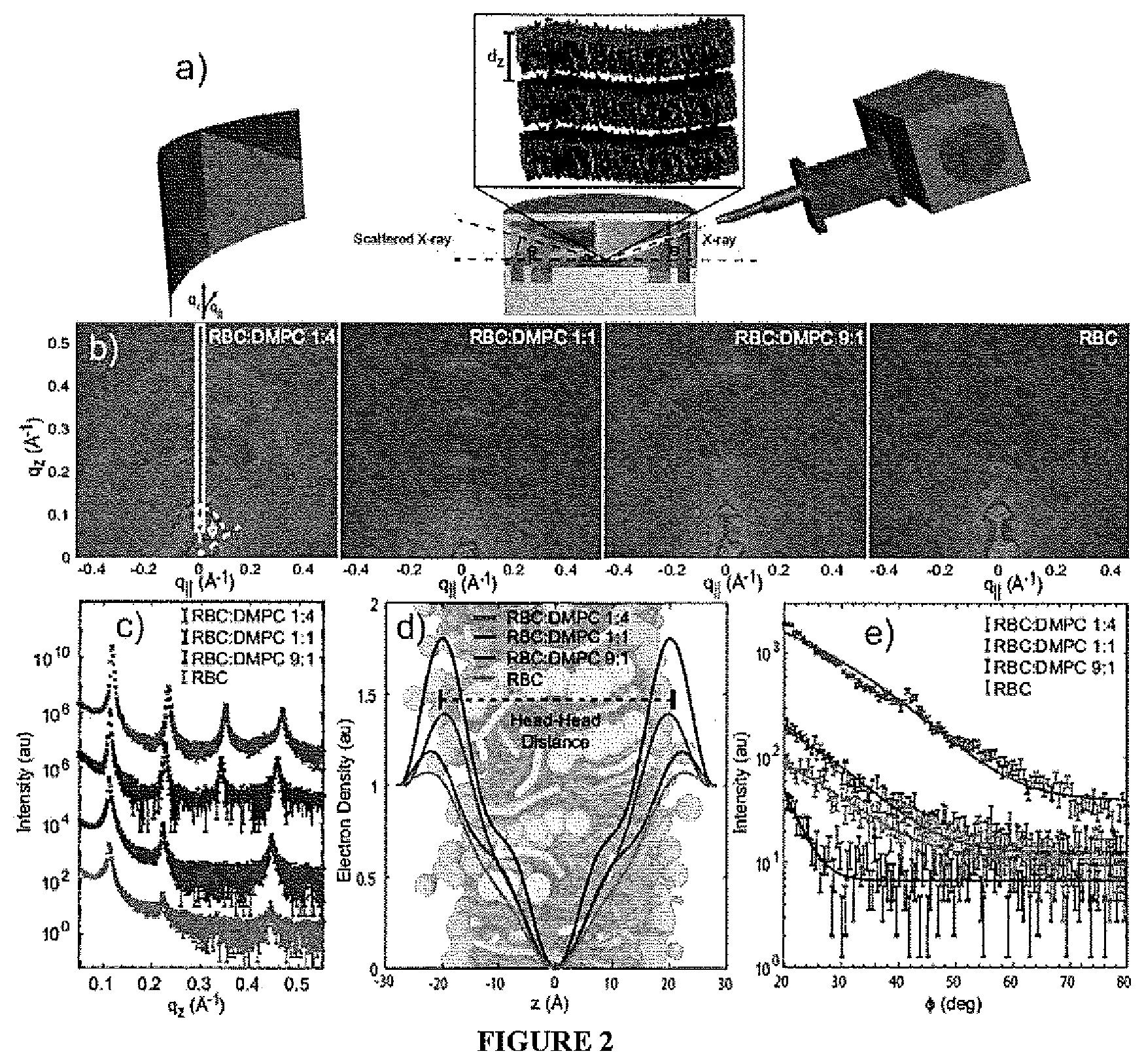 Patent US11771650 Figure 2 – Hybrid biological membranes, methods of making and uses thereof
