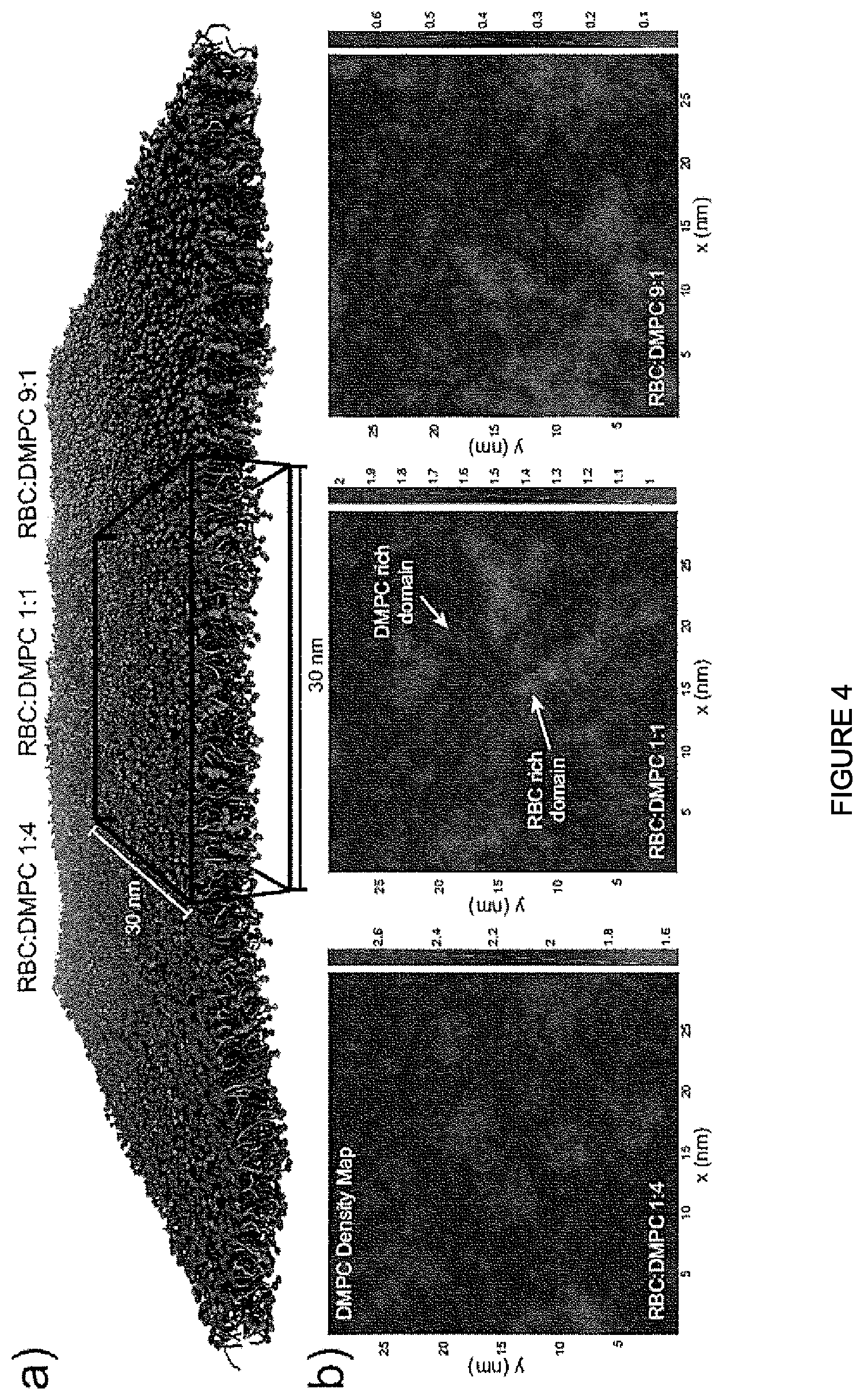 Patent US11771650 Figure 4 – Hybrid biological membranes, methods of making and uses thereof