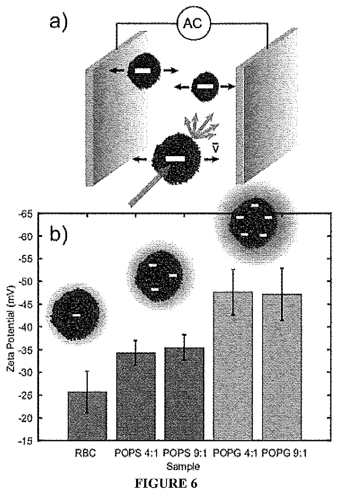 Patent US11771650 Figure 6 – Hybrid biological membranes, methods of making and uses thereof