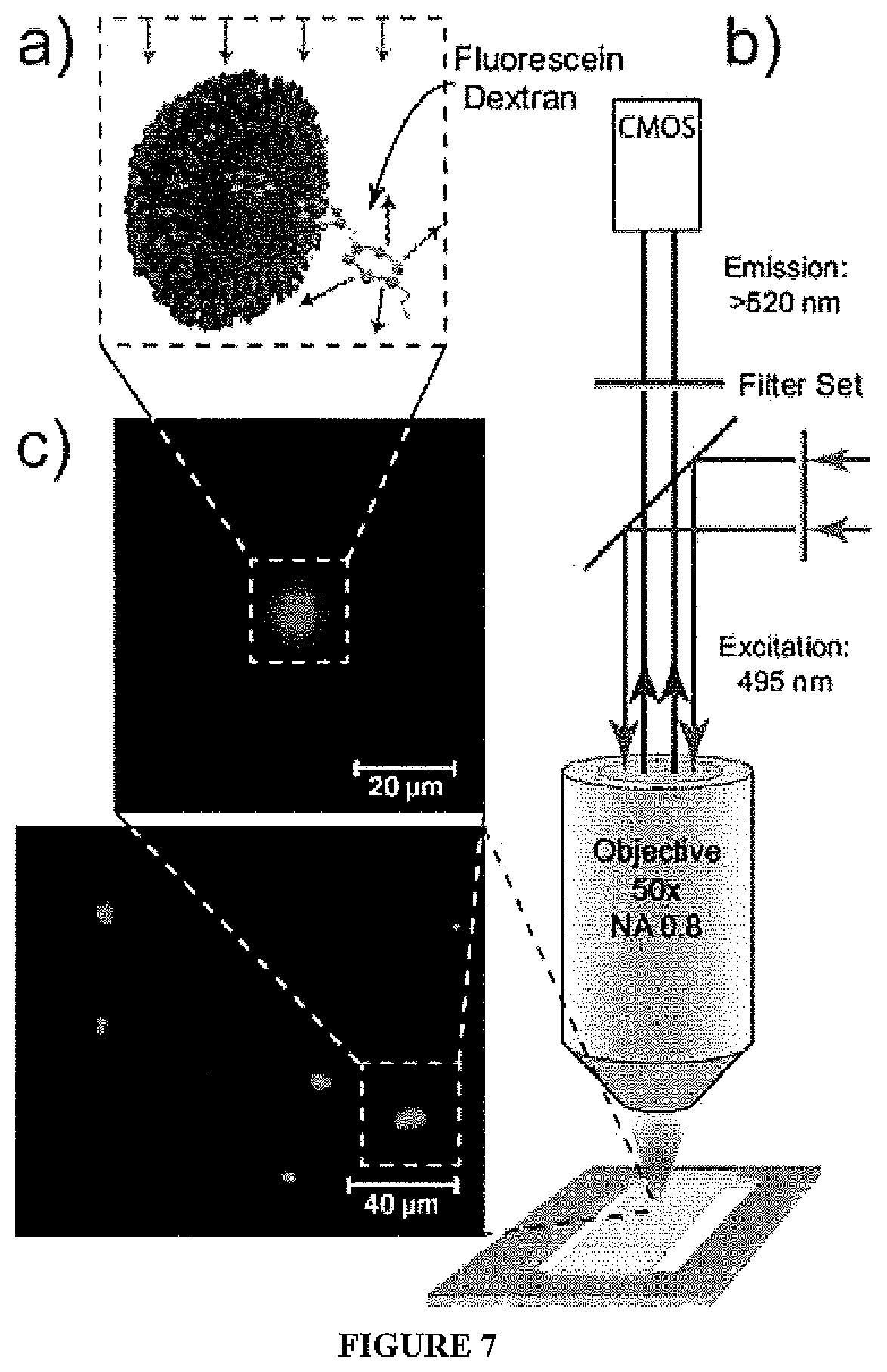 Patent US11771650 Figure 7 – Hybrid biological membranes, methods of making and uses thereof