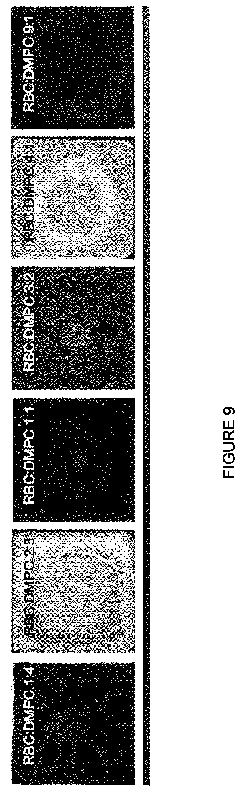 Patent US11771650 Figure 9 – Hybrid biological membranes, methods of making and uses thereof