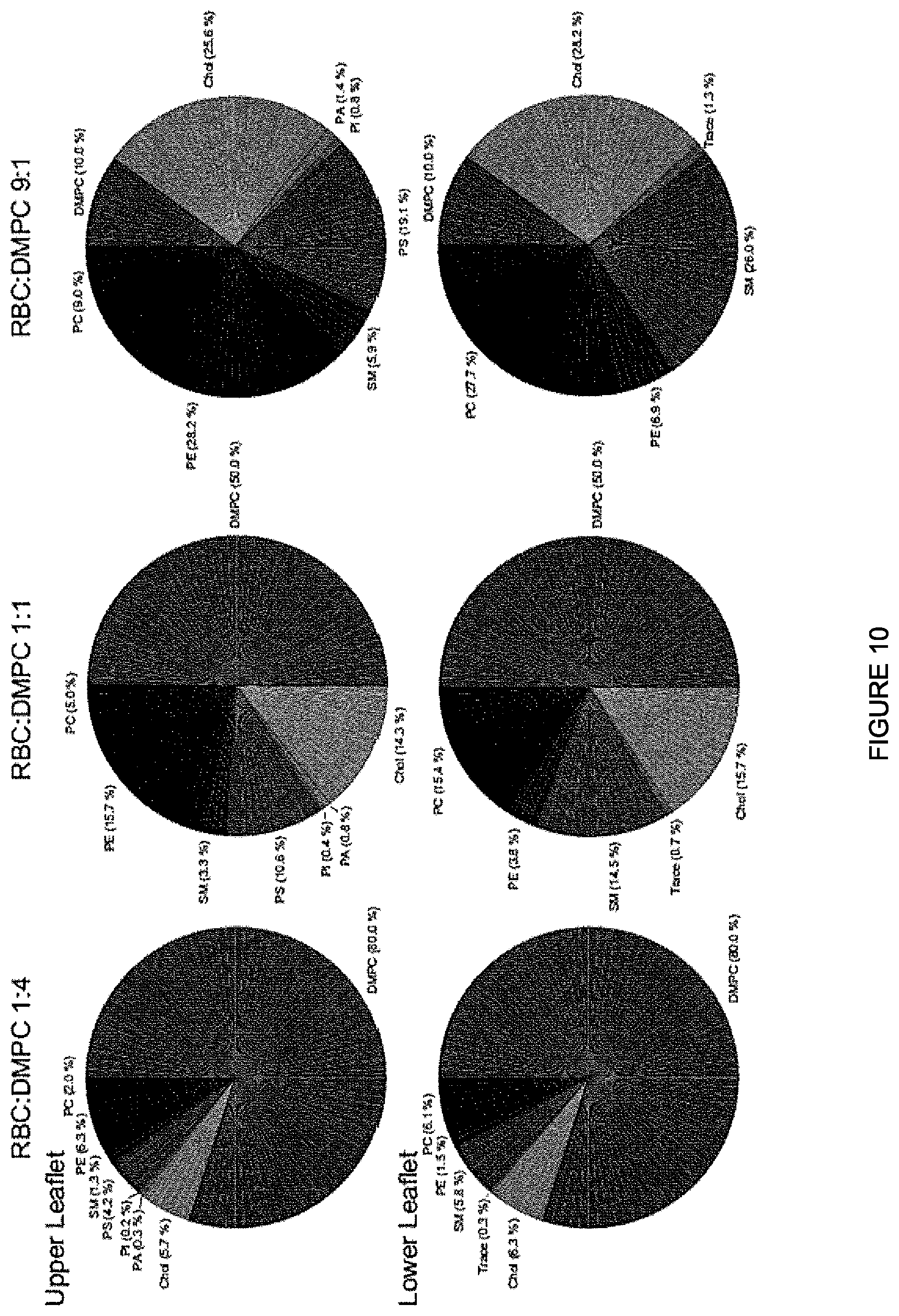 Patent US11771650 Figure 10 – Hybrid biological membranes, methods of making and uses thereof
