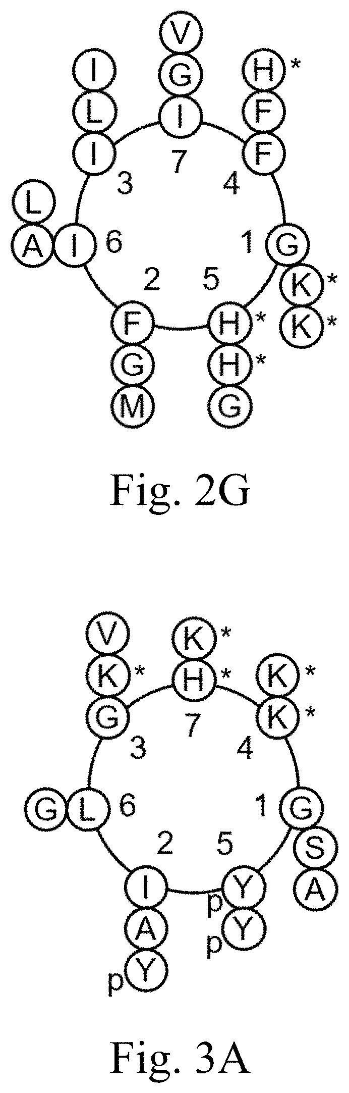 Patent US11771651 Figure 4 – Liposomes and uses thereof