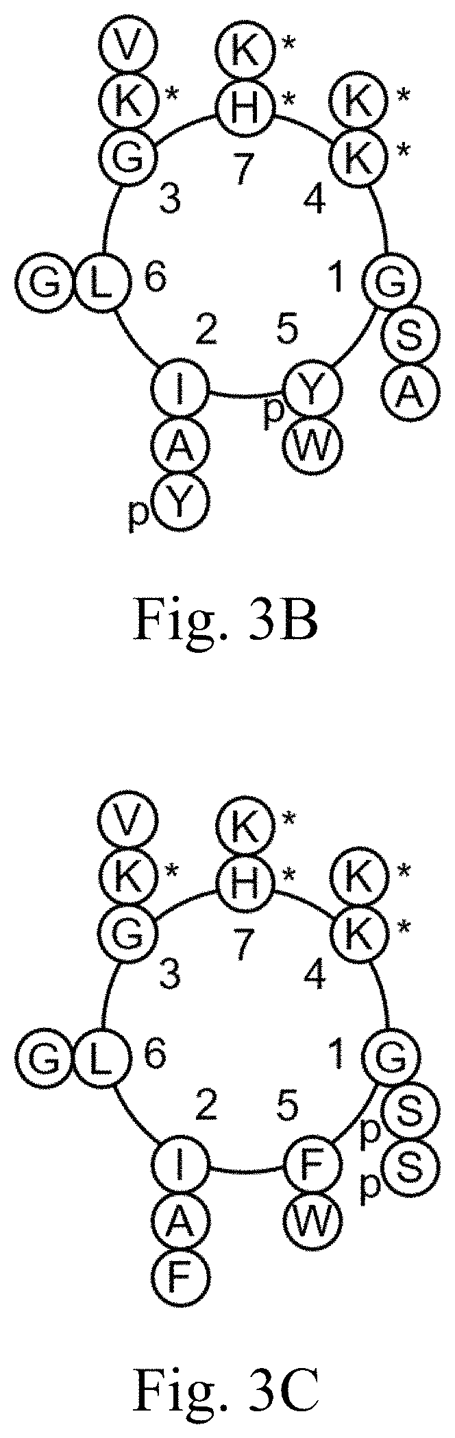 Patent US11771651 Figure 5 – Liposomes and uses thereof
