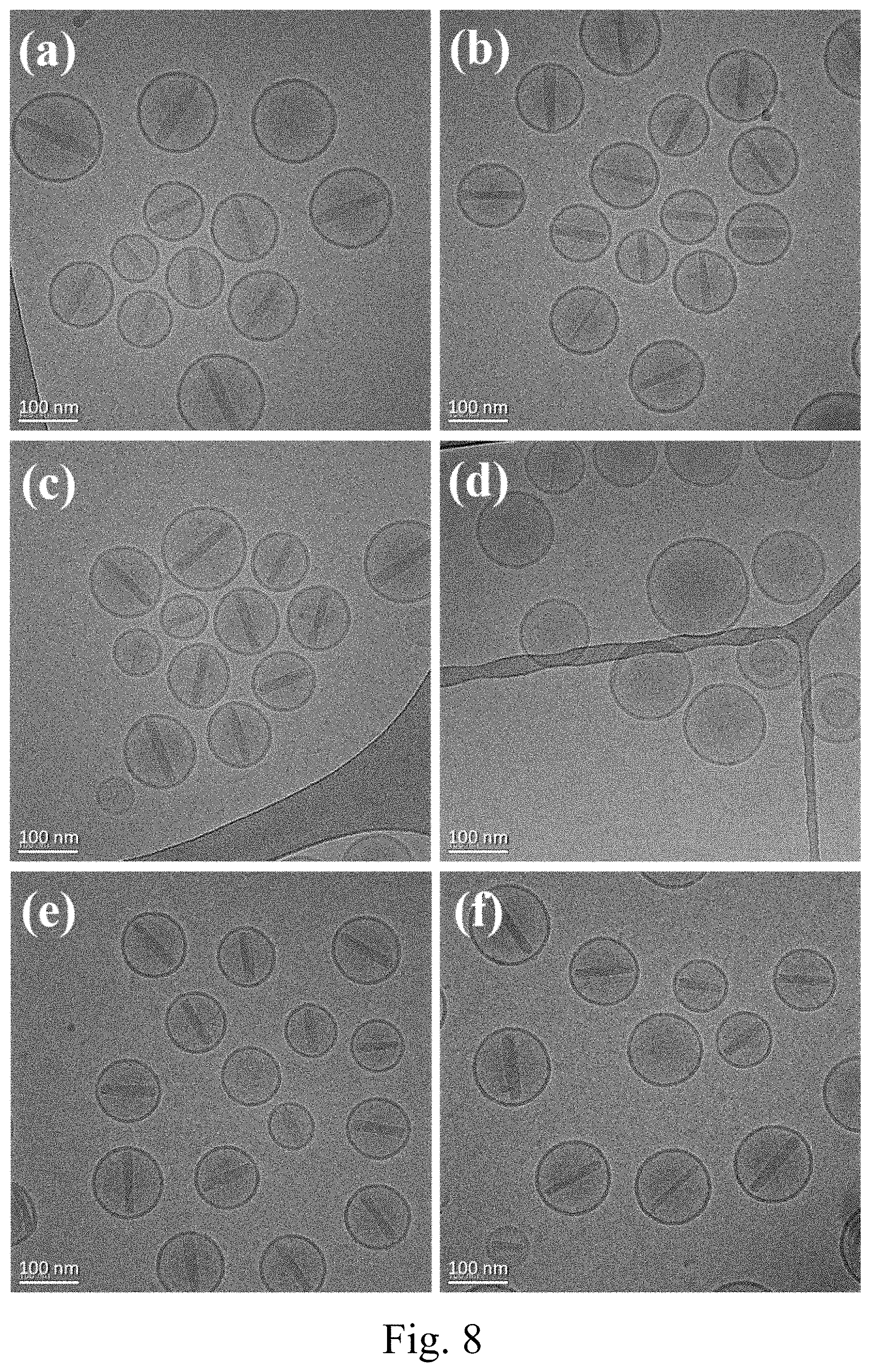 Patent US11771651 Figure 13 – Liposomes and uses thereof