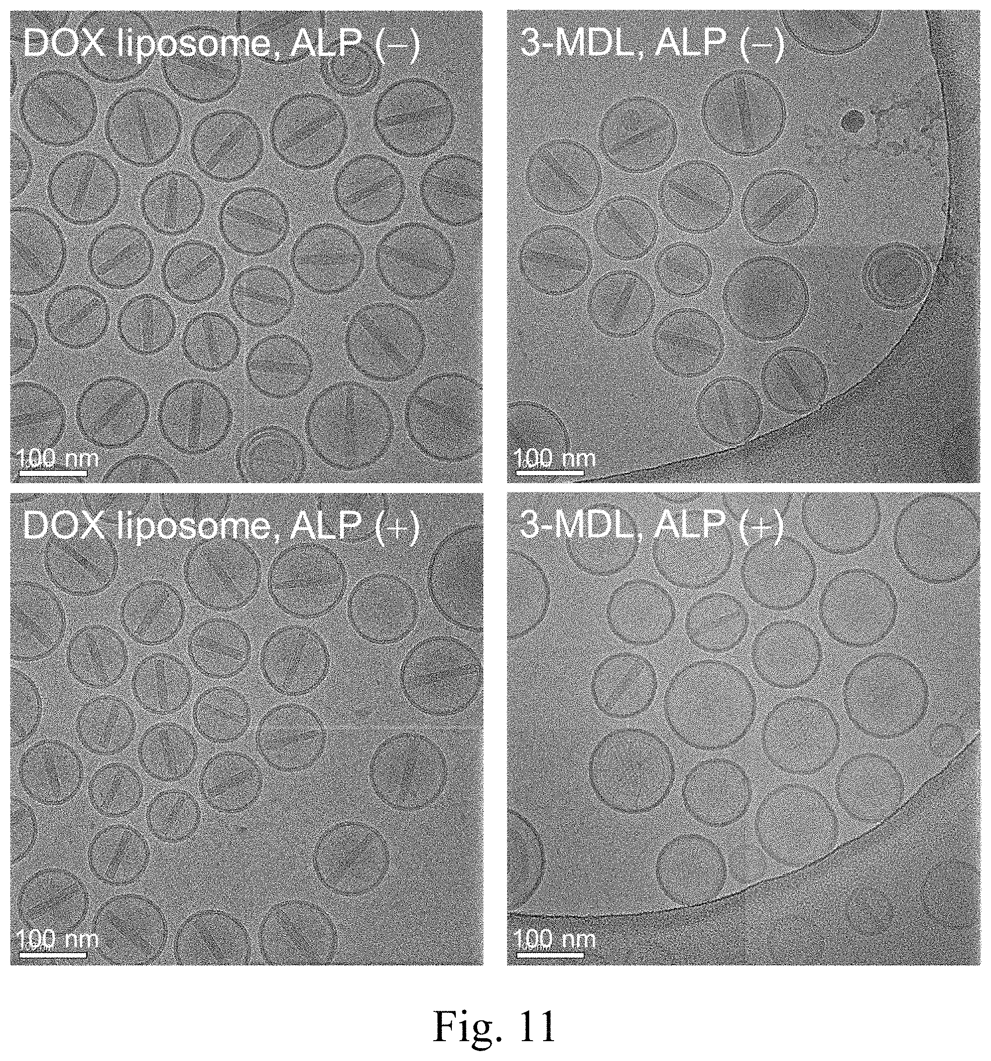 Patent US11771651 Figure 17 – Liposomes and uses thereof