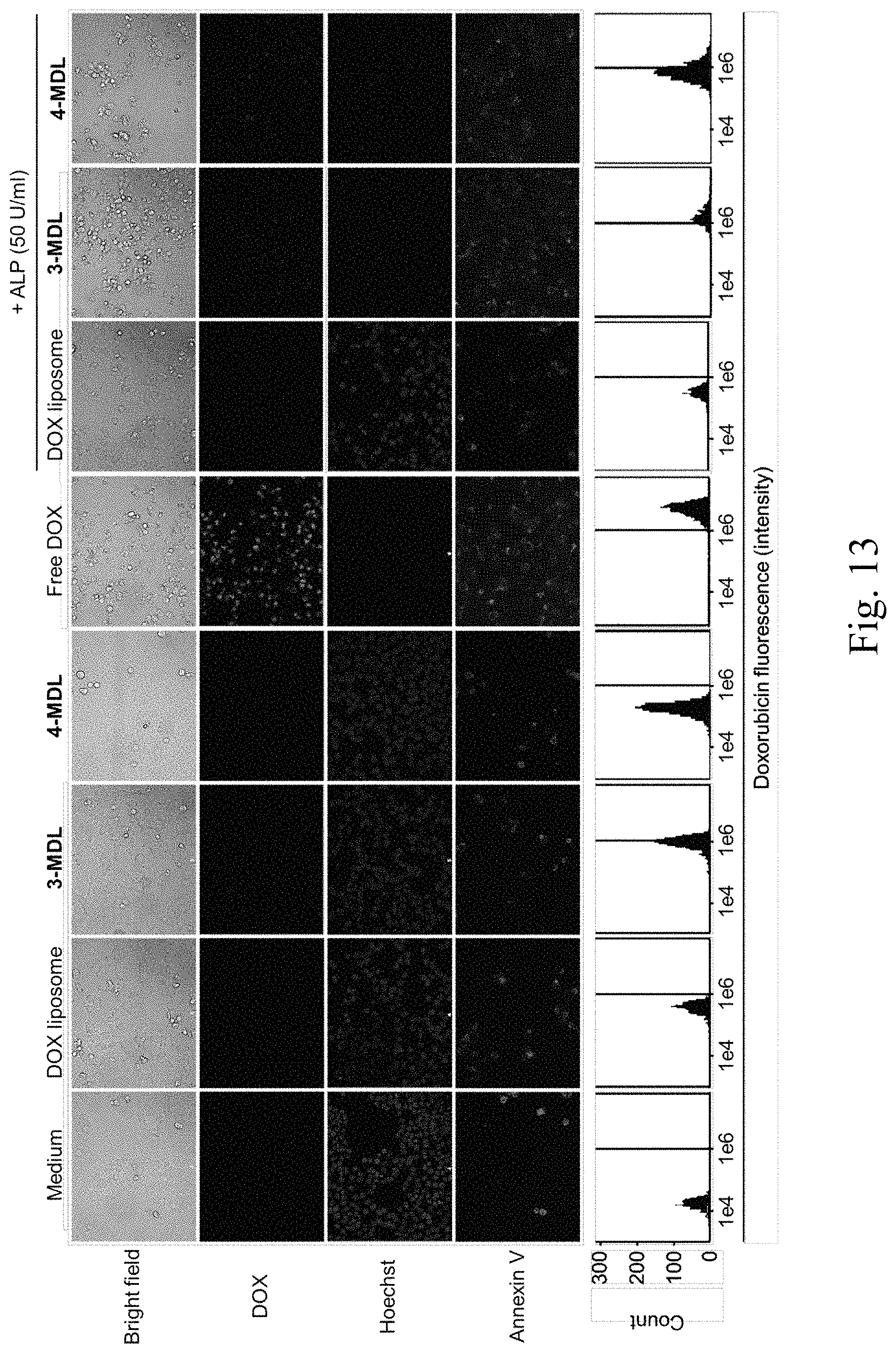 Patent US11771651 Figure 20 – Liposomes and uses thereof
