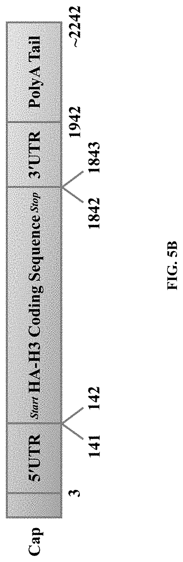 Patent US11771652 Figure 11 – Lipid nanoparticles for delivering mRNA vaccines