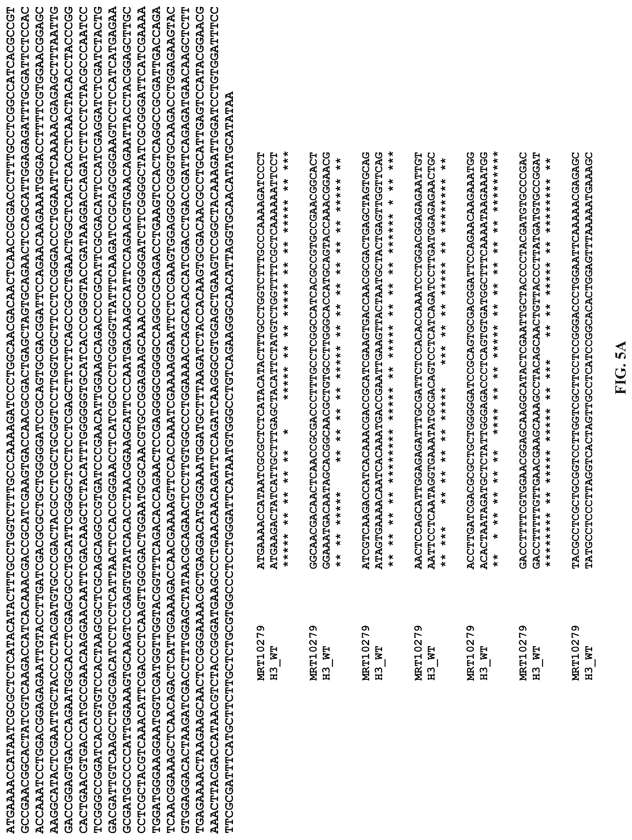 Patent US11771653 Figure 8 – Lipid nanoparticles for delivering mRNA vaccines