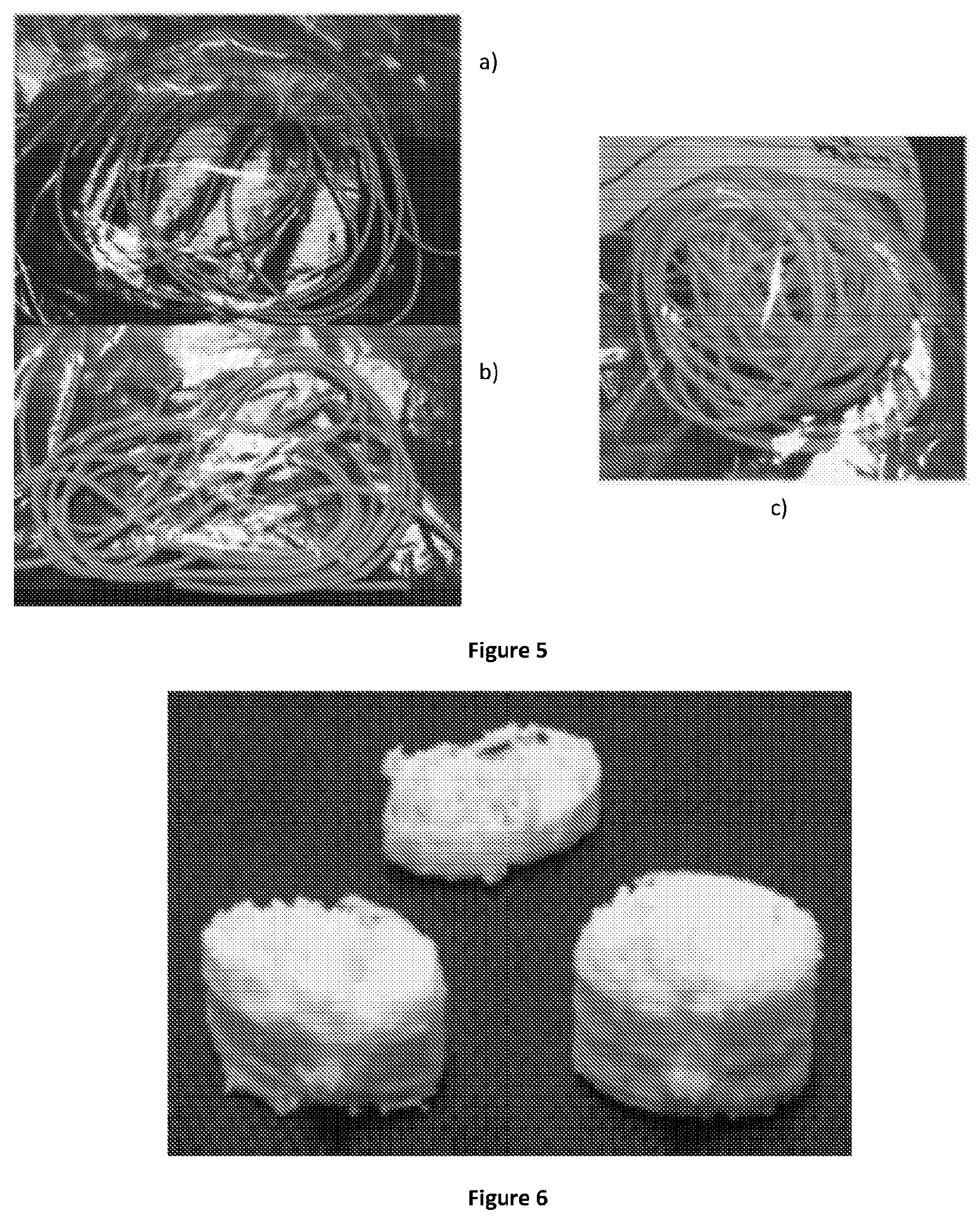 Patent US11771655 Figure 2 – Solid dosage form production