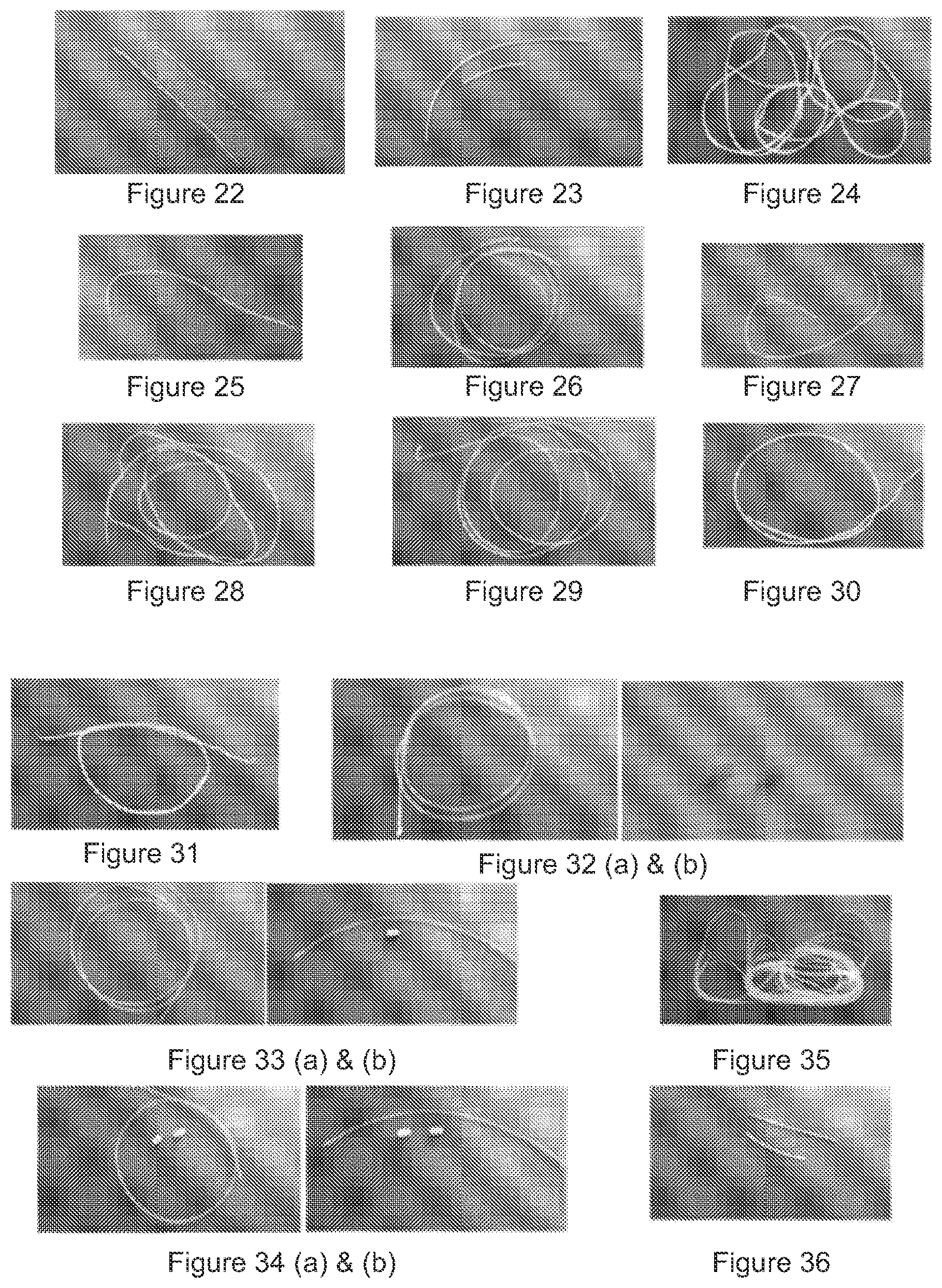 Patent US11771655 Figure 10 – Solid dosage form production