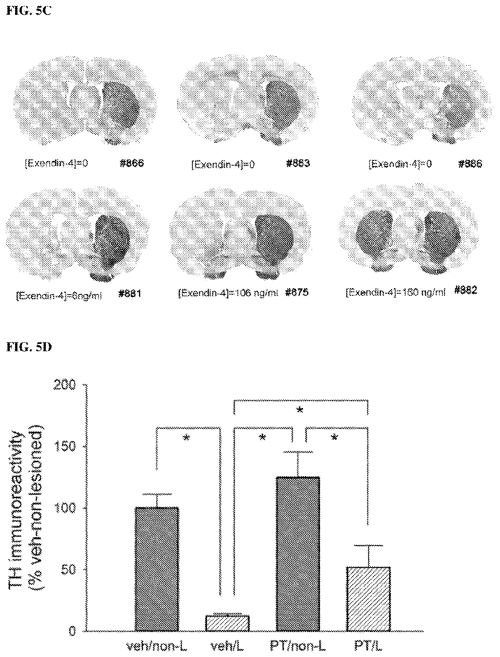 Patent US11771657 Figure 5 – Methods of delivering a neuroprotective polypeptide to the central nervous system