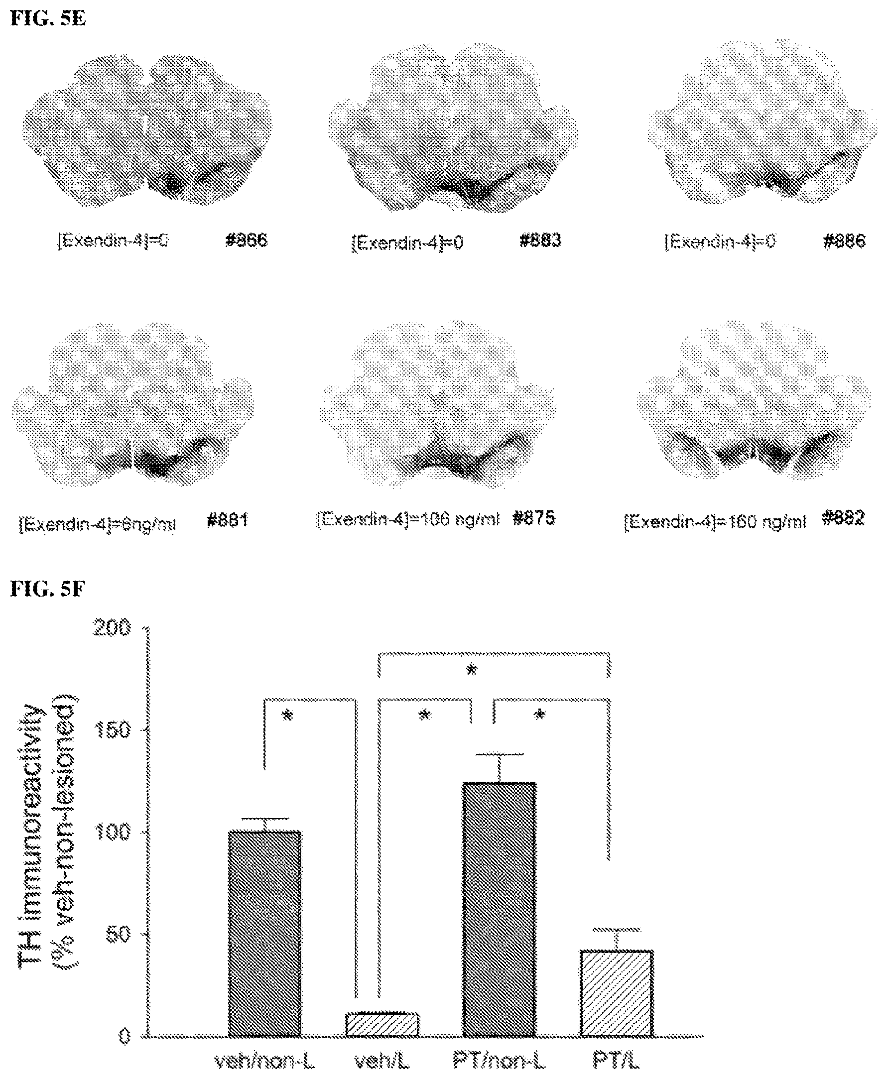 Patent US11771657 Figure 6 – Methods of delivering a neuroprotective polypeptide to the central nervous system