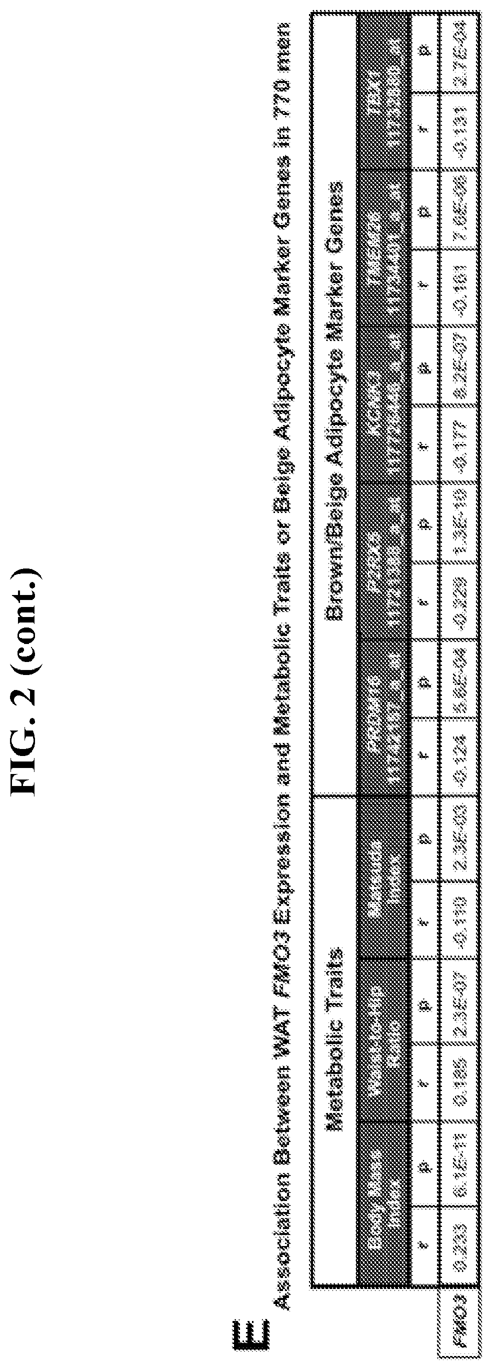 Patent US11771659 Figure 5 – Treating disease and promoting weight loss by inhibiting the TMA/FMO3/TMAO pathway