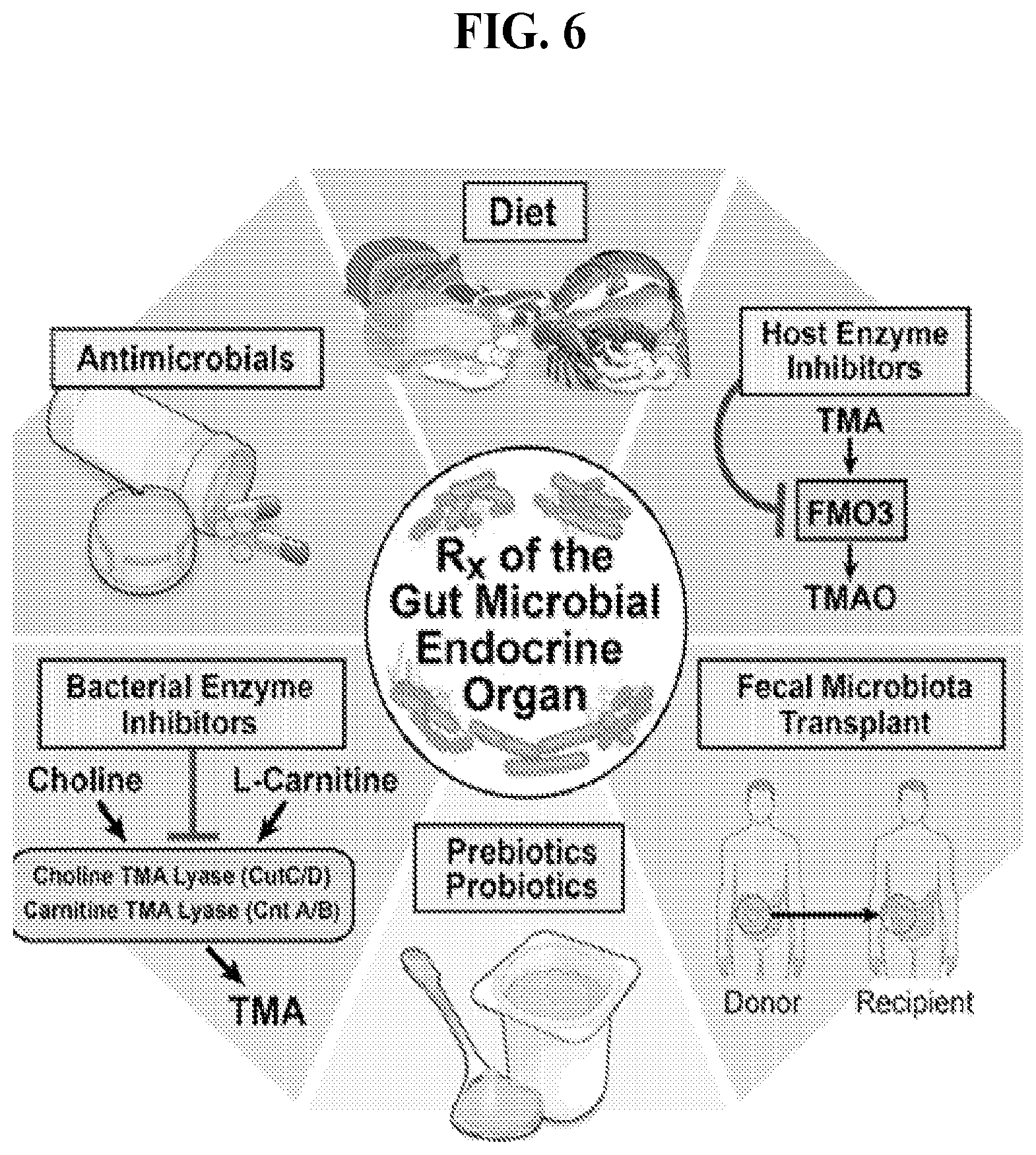 Patent US11771659 Figure 11 – Treating disease and promoting weight loss by inhibiting the TMA/FMO3/TMAO pathway