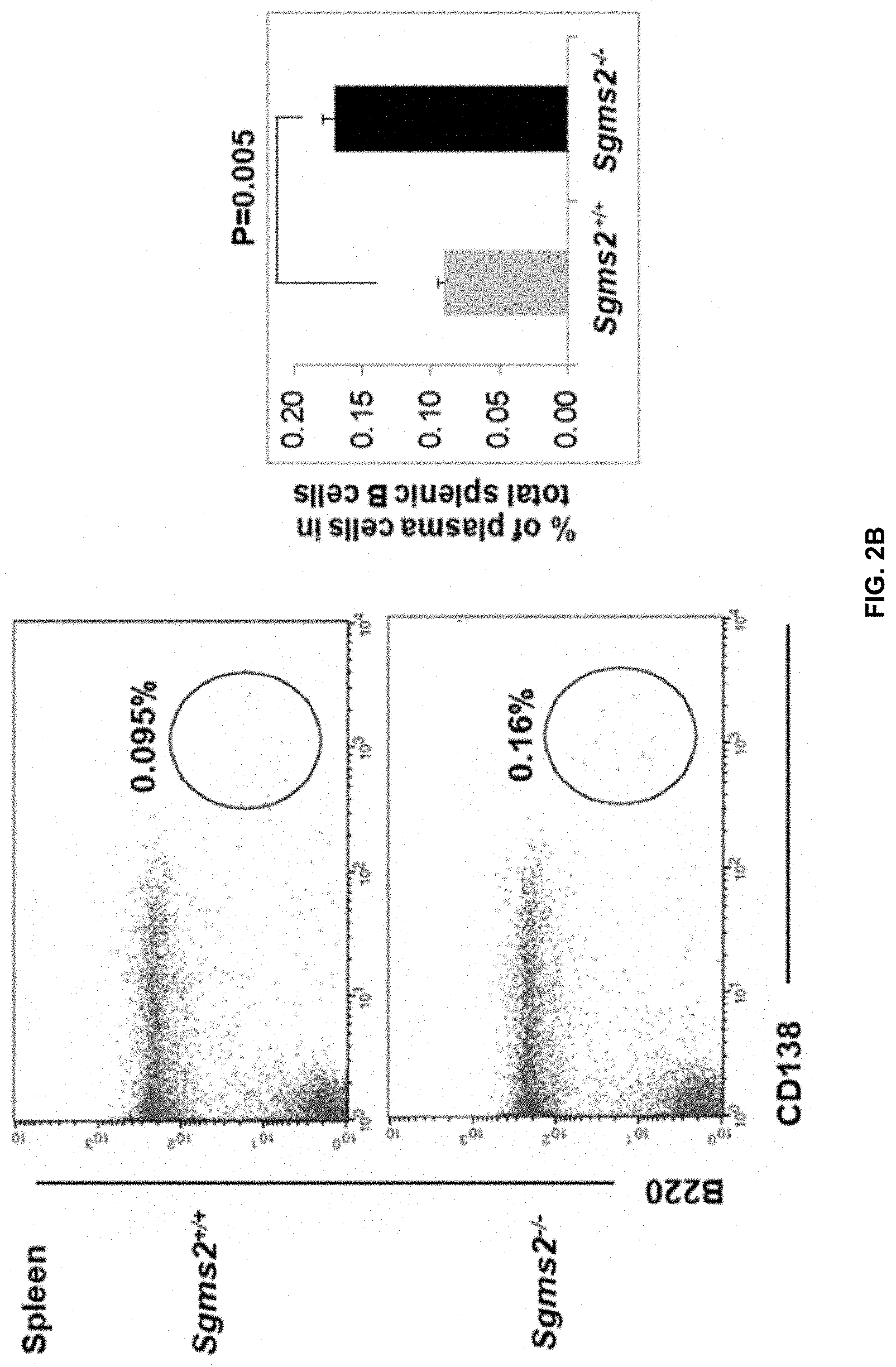 Patent US11771672 Figure 5 – Use of 2-hydroxyoleic acid for the treatment of systemic lupus erythematosus and other immune pathologies