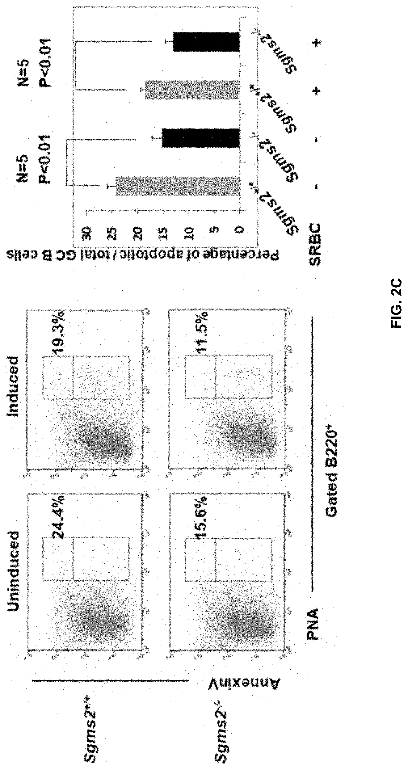 Patent US11771672 Figure 6 – Use of 2-hydroxyoleic acid for the treatment of systemic lupus erythematosus and other immune pathologies