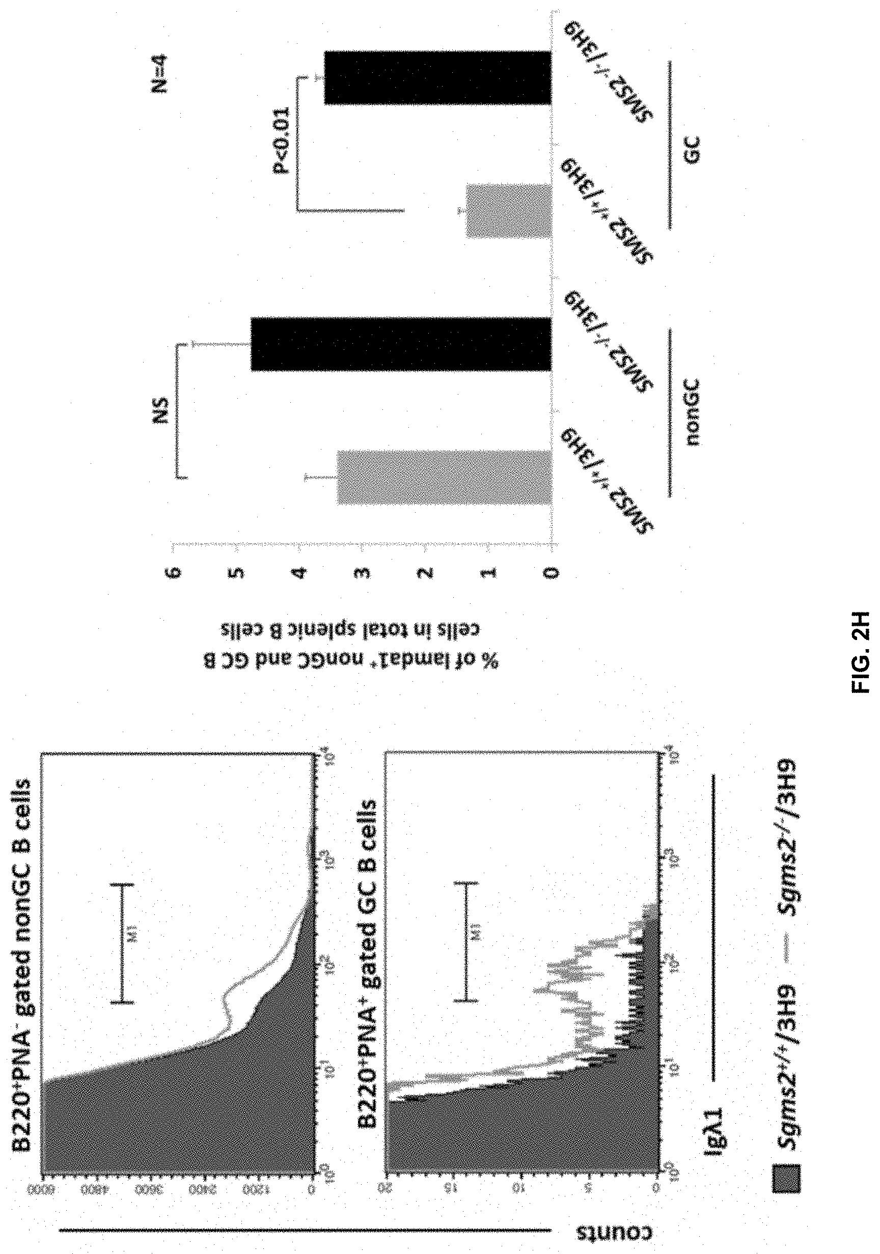 Patent US11771672 Figure 11 – Use of 2-hydroxyoleic acid for the treatment of systemic lupus erythematosus and other immune pathologies