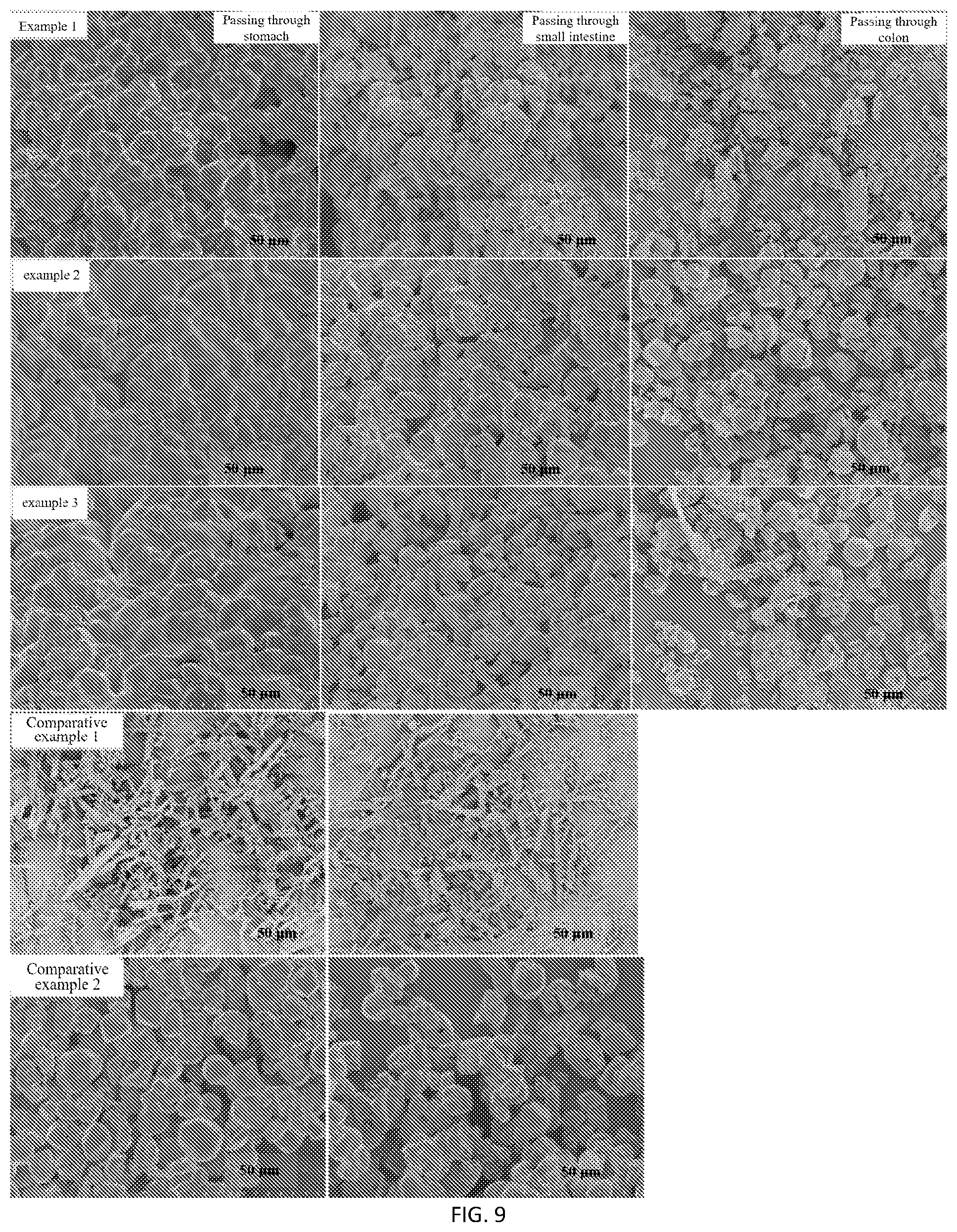 Patent US11771676 Figure 5 – Method for preparing high-load oral paclitaxel capsule for slow release in colon