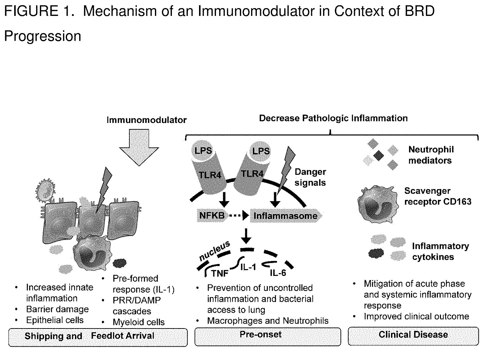 Patent US11771677 Figure 1 – Immunomodulating urea azalides