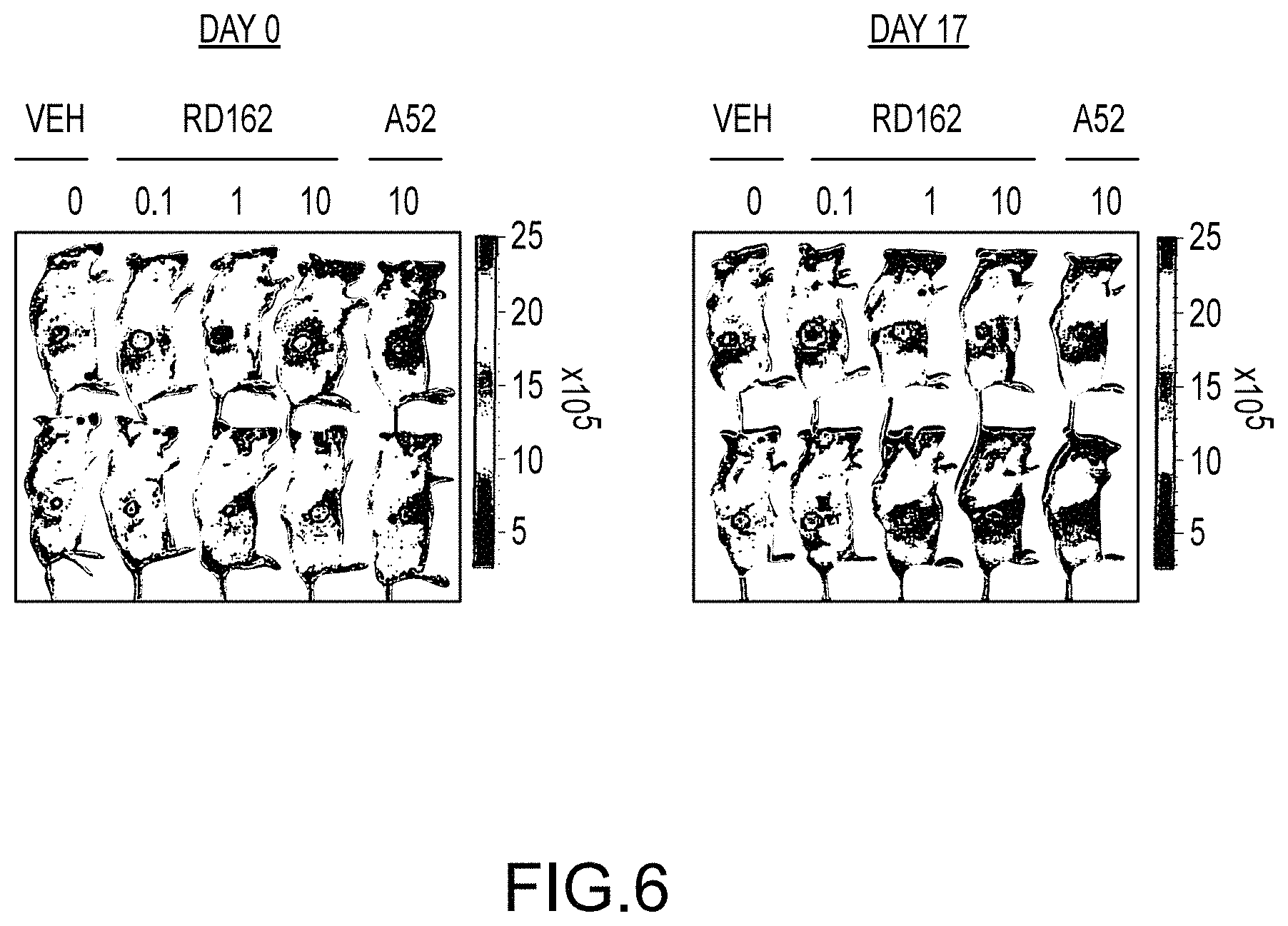 Patent US11771687 Figure 6 – Substituted diazaspiroalkanes as androgen receptor modulators