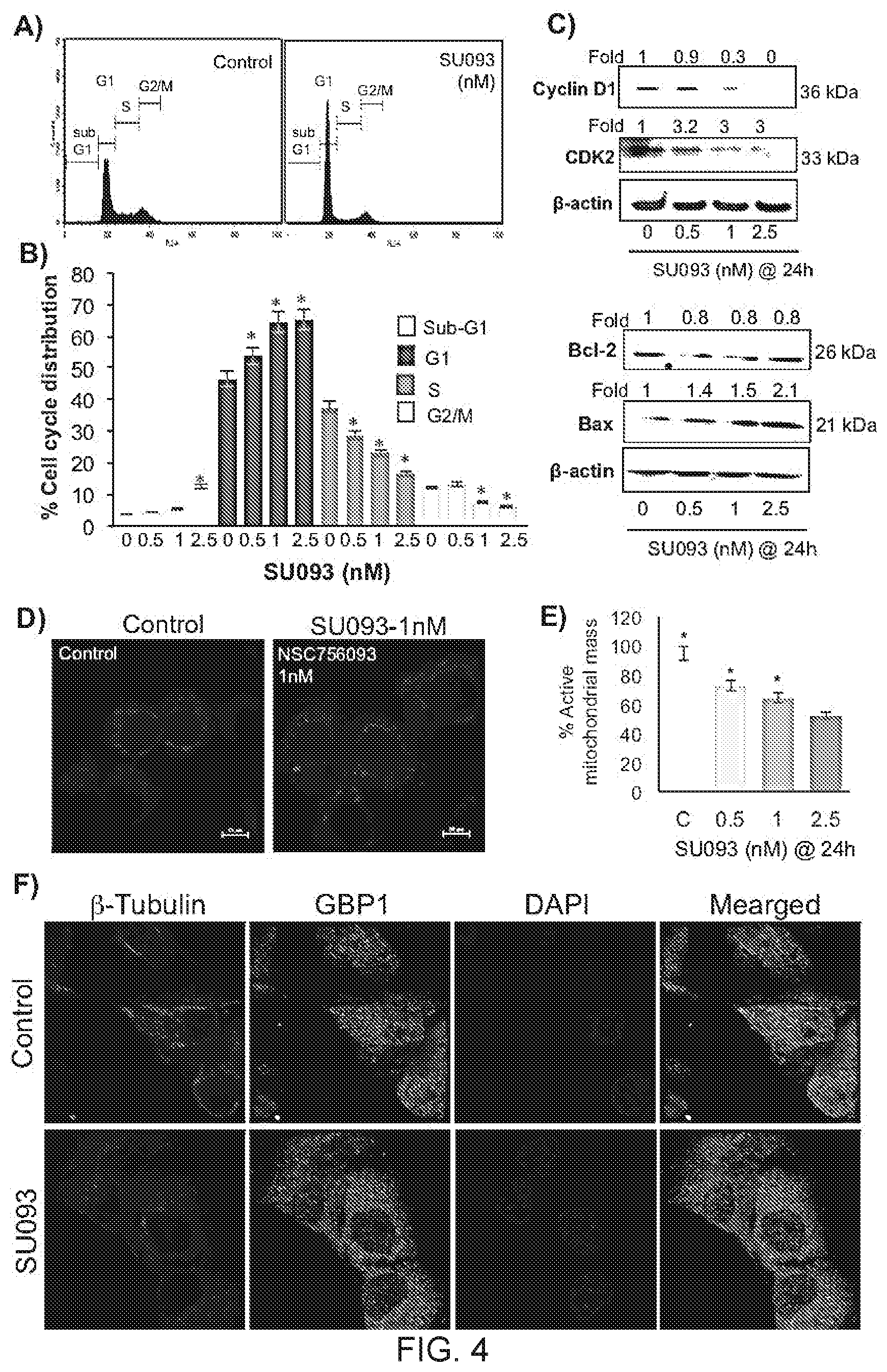 Patent US11771692 Figure 4 – N-hydroxyethyl didehydroazapodophyllotoxins as GBP1 inhibitors and methods of overcoming treatment resistance in cancer