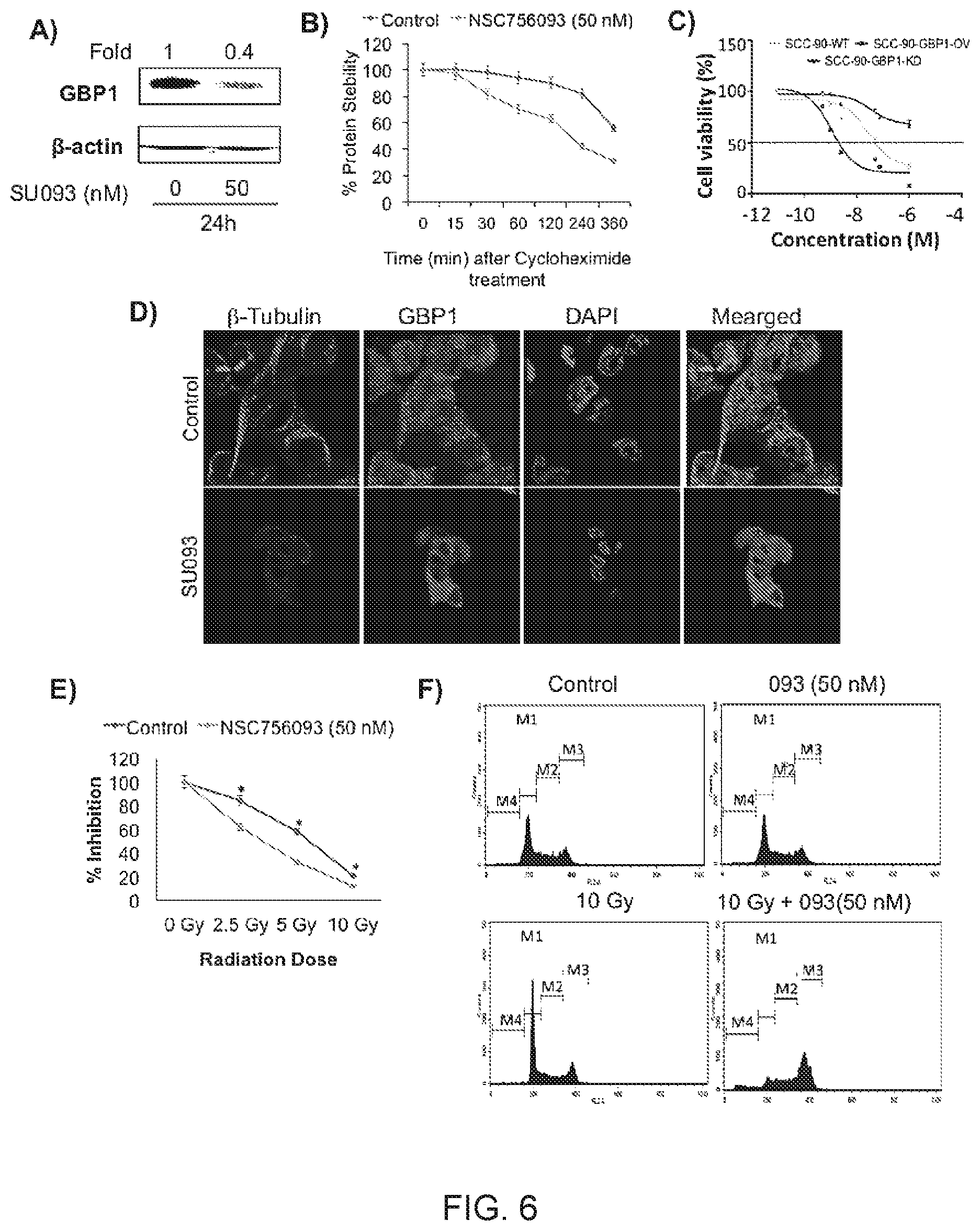 Patent US11771692 Figure 6 – N-hydroxyethyl didehydroazapodophyllotoxins as GBP1 inhibitors and methods of overcoming treatment resistance in cancer