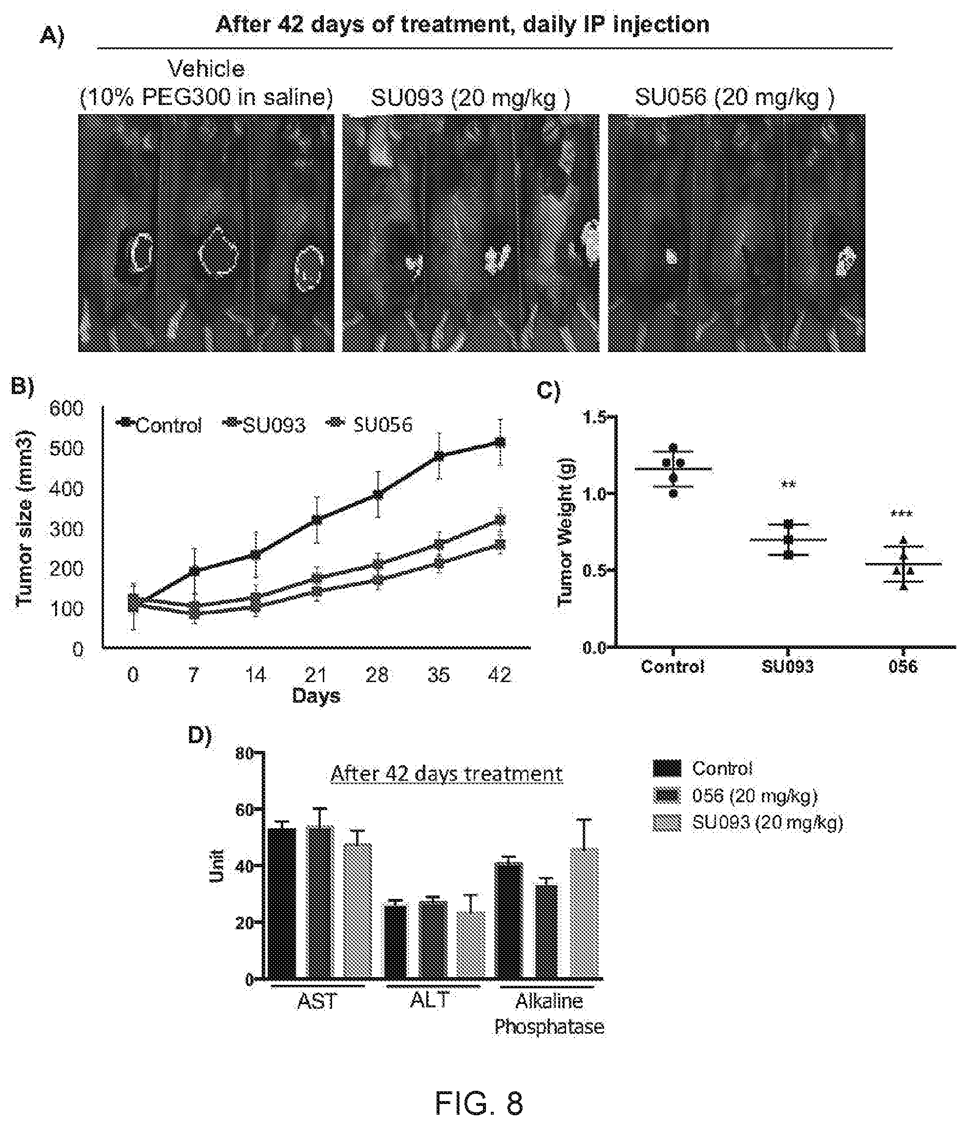 Patent US11771692 Figure 8 – N-hydroxyethyl didehydroazapodophyllotoxins as GBP1 inhibitors and methods of overcoming treatment resistance in cancer