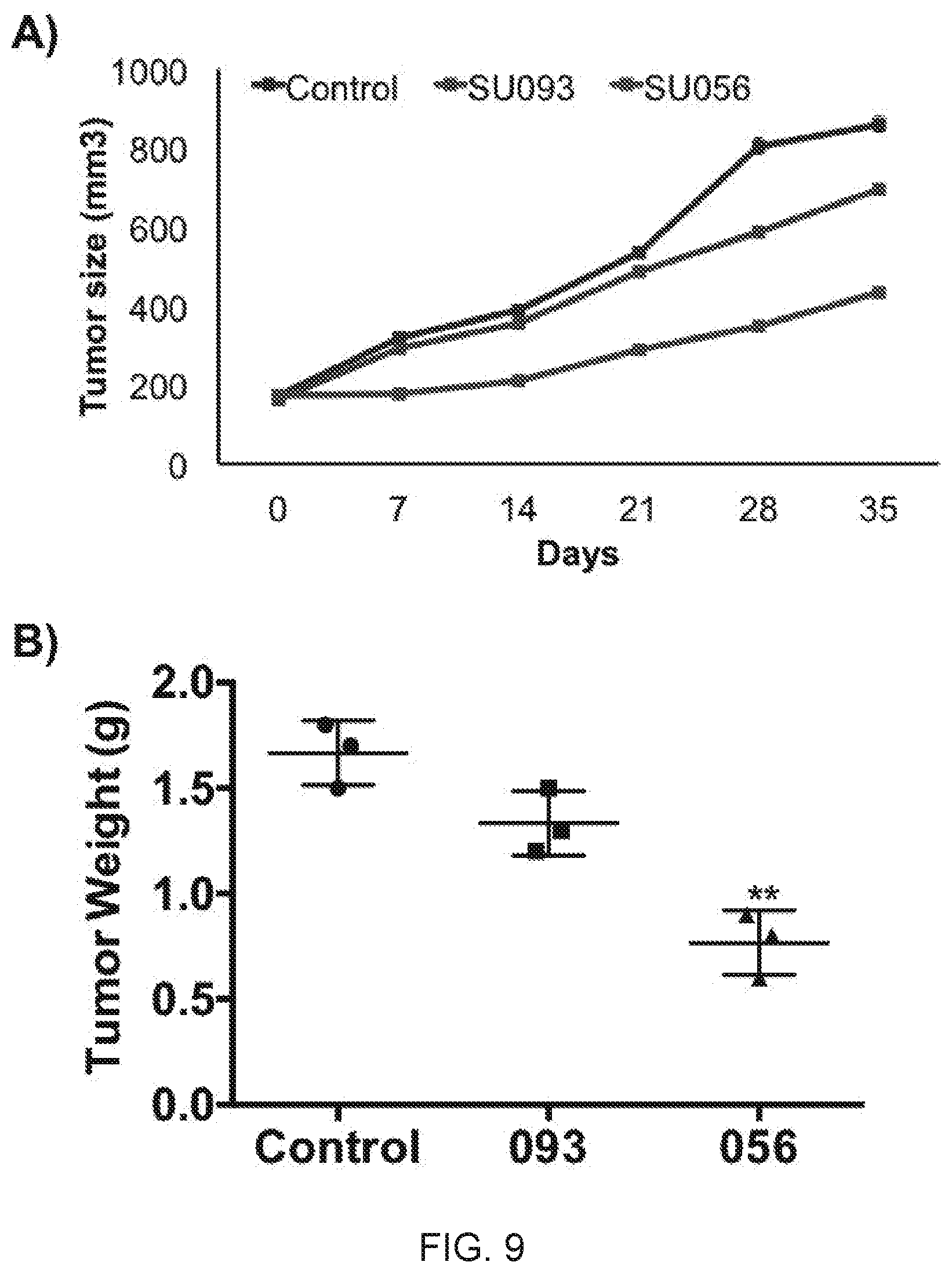 Patent US11771692 Figure 9 – N-hydroxyethyl didehydroazapodophyllotoxins as GBP1 inhibitors and methods of overcoming treatment resistance in cancer