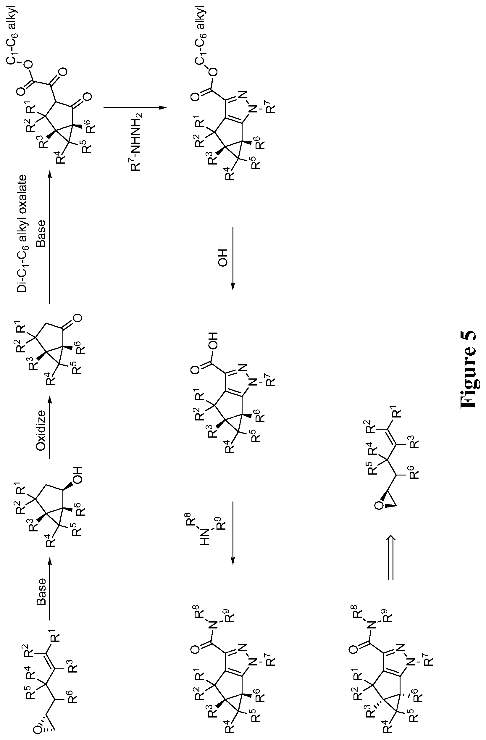 Patent US11771695 Figure 5 – Cannabinoid receptor modulators