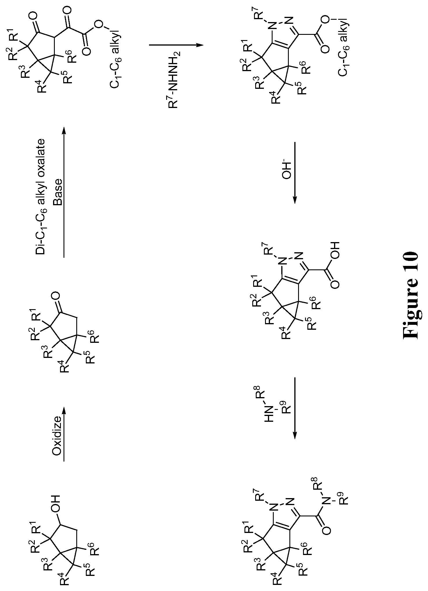 Patent US11771695 Figure 10 – Cannabinoid receptor modulators