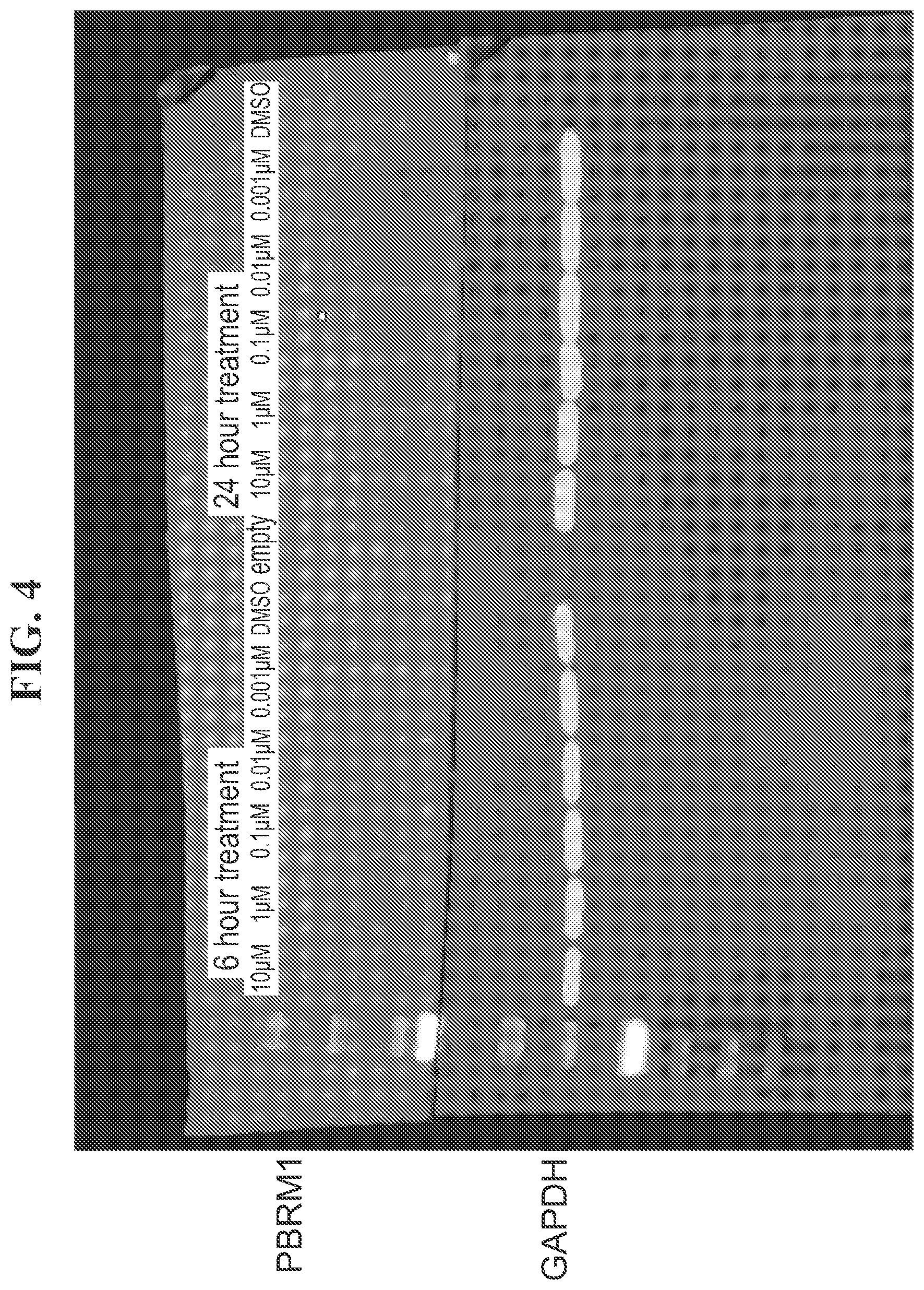 Patent US11771697 Figure 15 – Small molecule degraders of polybromo-1 (PBRM1)