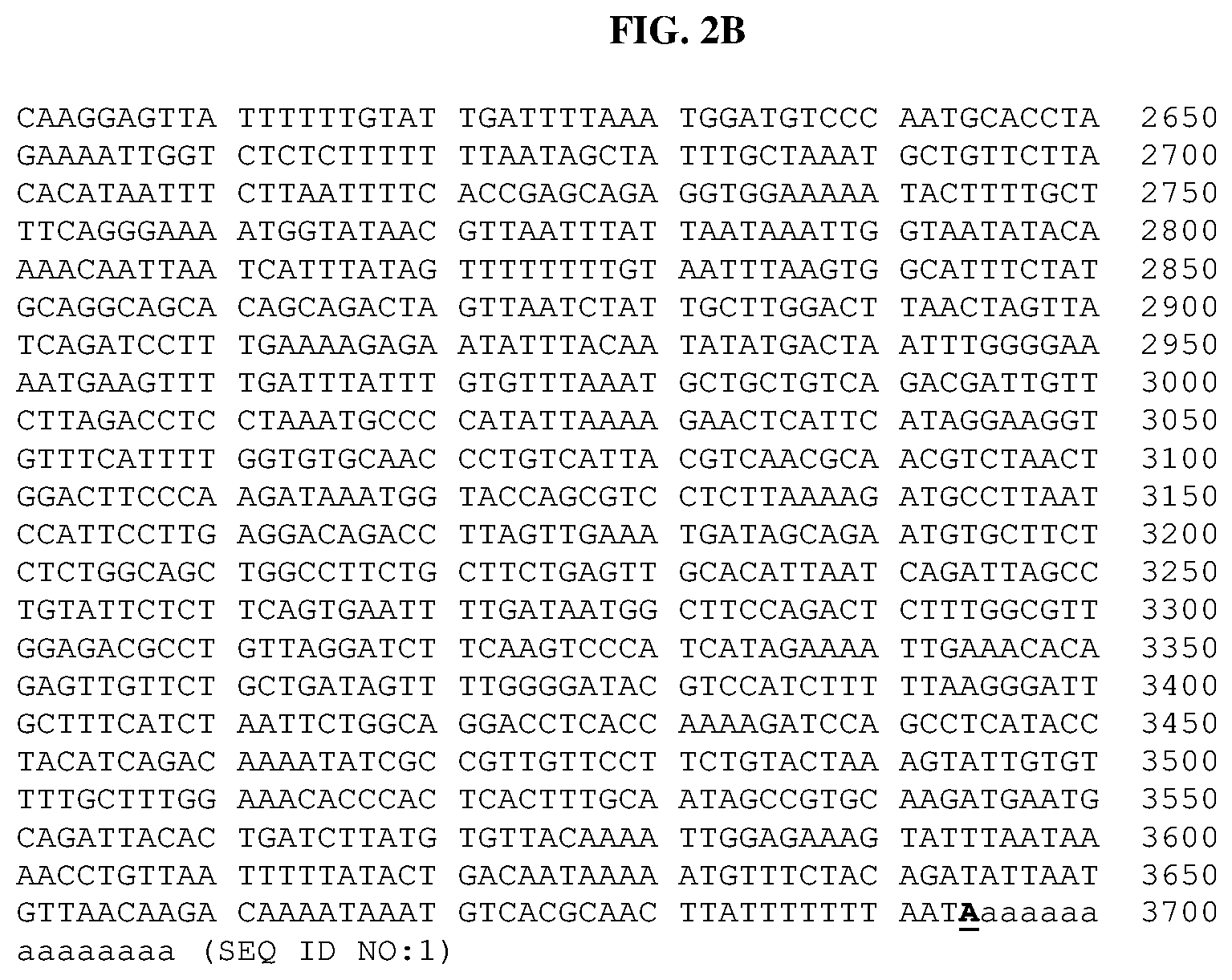 Patent US11771698 Figure 5 – Methods of treating cholangiocarcinoma