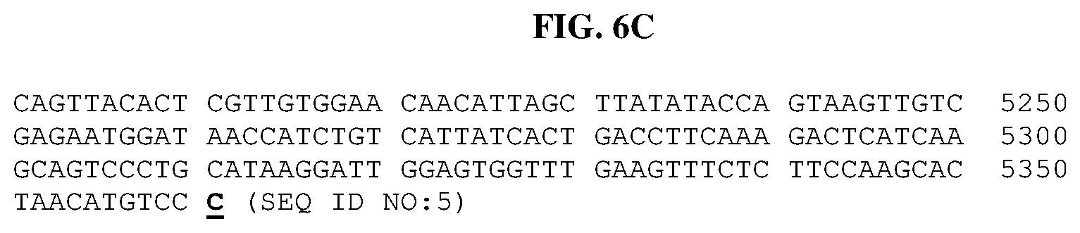 Patent US11771698 Figure 12 – Methods of treating cholangiocarcinoma