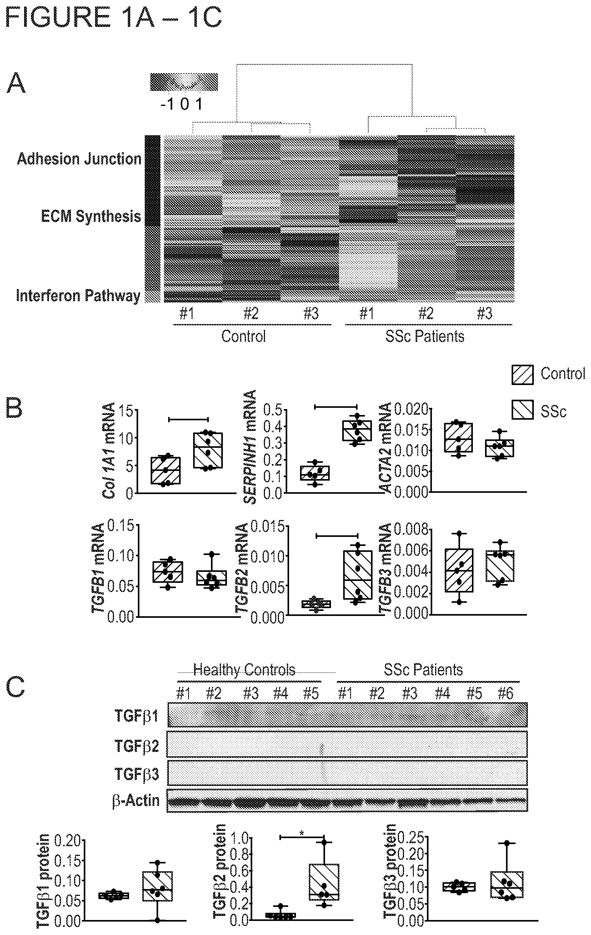 Patent US11771703 Figure 1 – Targeted epigenetic therapy against distal regulatory element of TGFβ2 expression