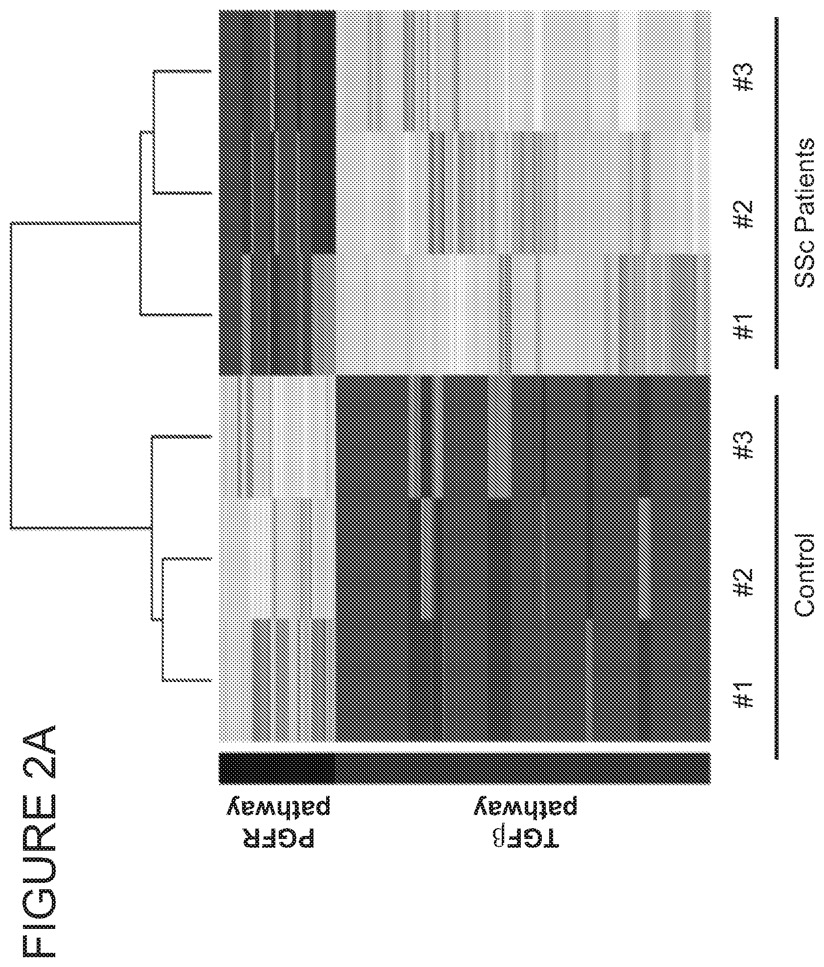 Patent US11771703 Figure 4 – Targeted epigenetic therapy against distal regulatory element of TGFβ2 expression