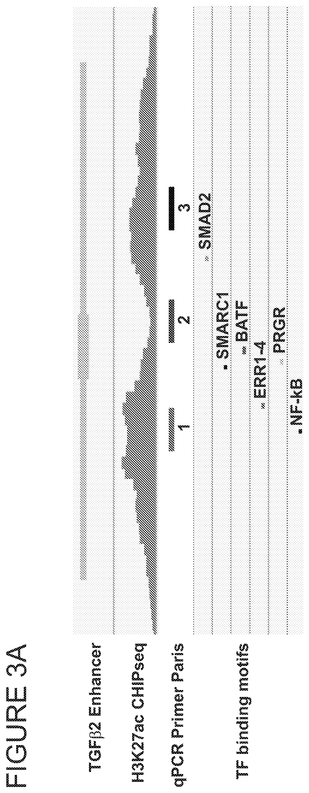 Patent US11771703 Figure 8 – Targeted epigenetic therapy against distal regulatory element of TGFβ2 expression