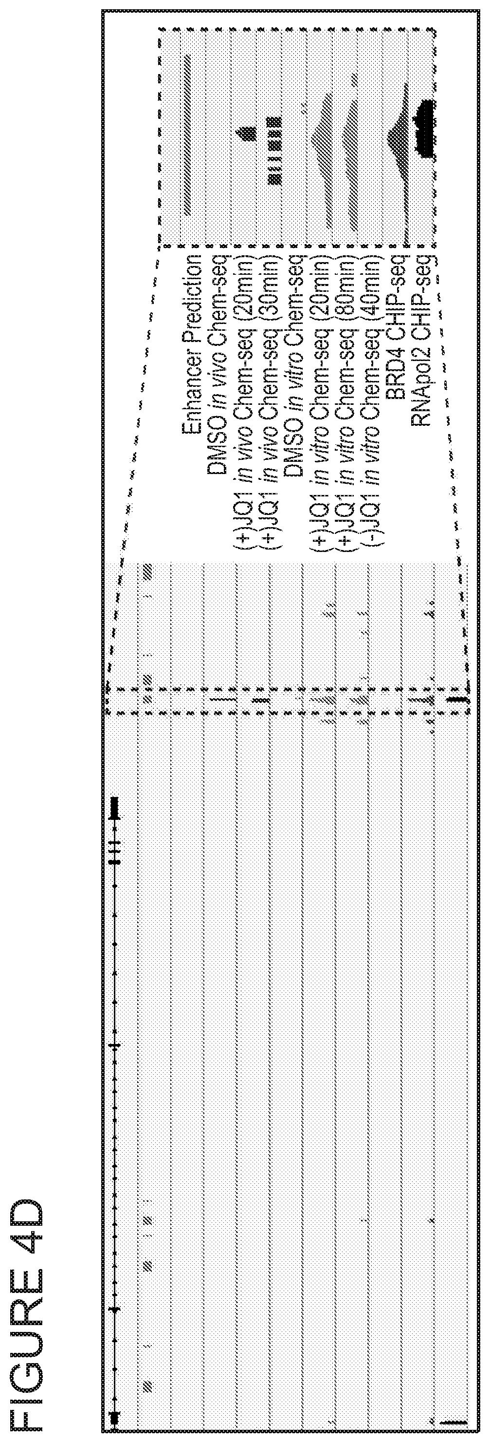 Patent US11771703 Figure 13 – Targeted epigenetic therapy against distal regulatory element of TGFβ2 expression