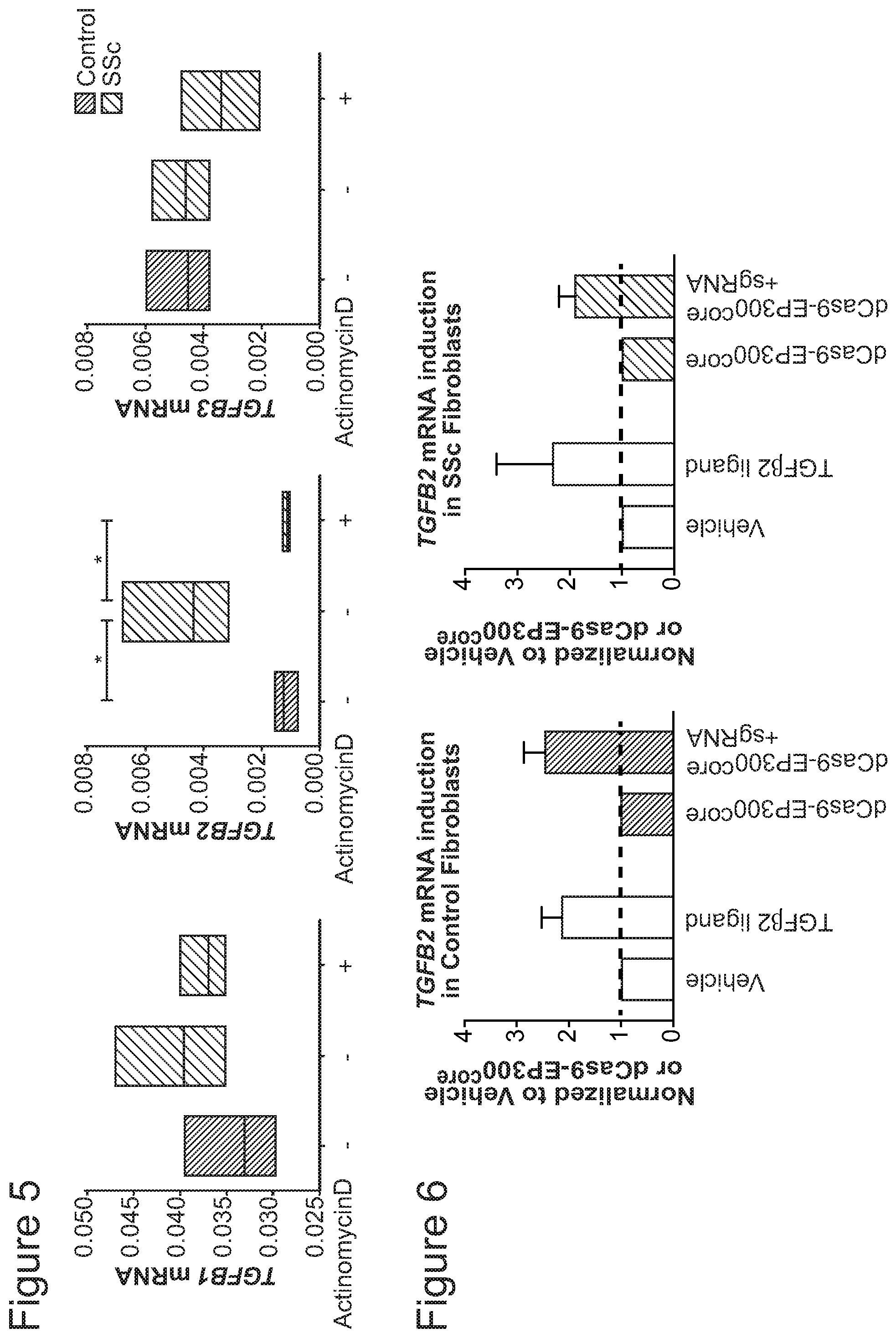 Patent US11771703 Figure 19 – Targeted epigenetic therapy against distal regulatory element of TGFβ2 expression