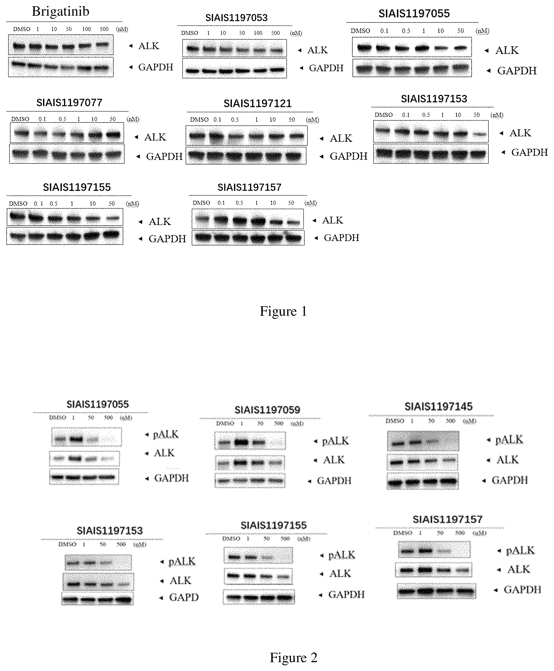 Patent US11771709 Figure 1 – ALK protein degradation agent and anti-tumor application thereof
