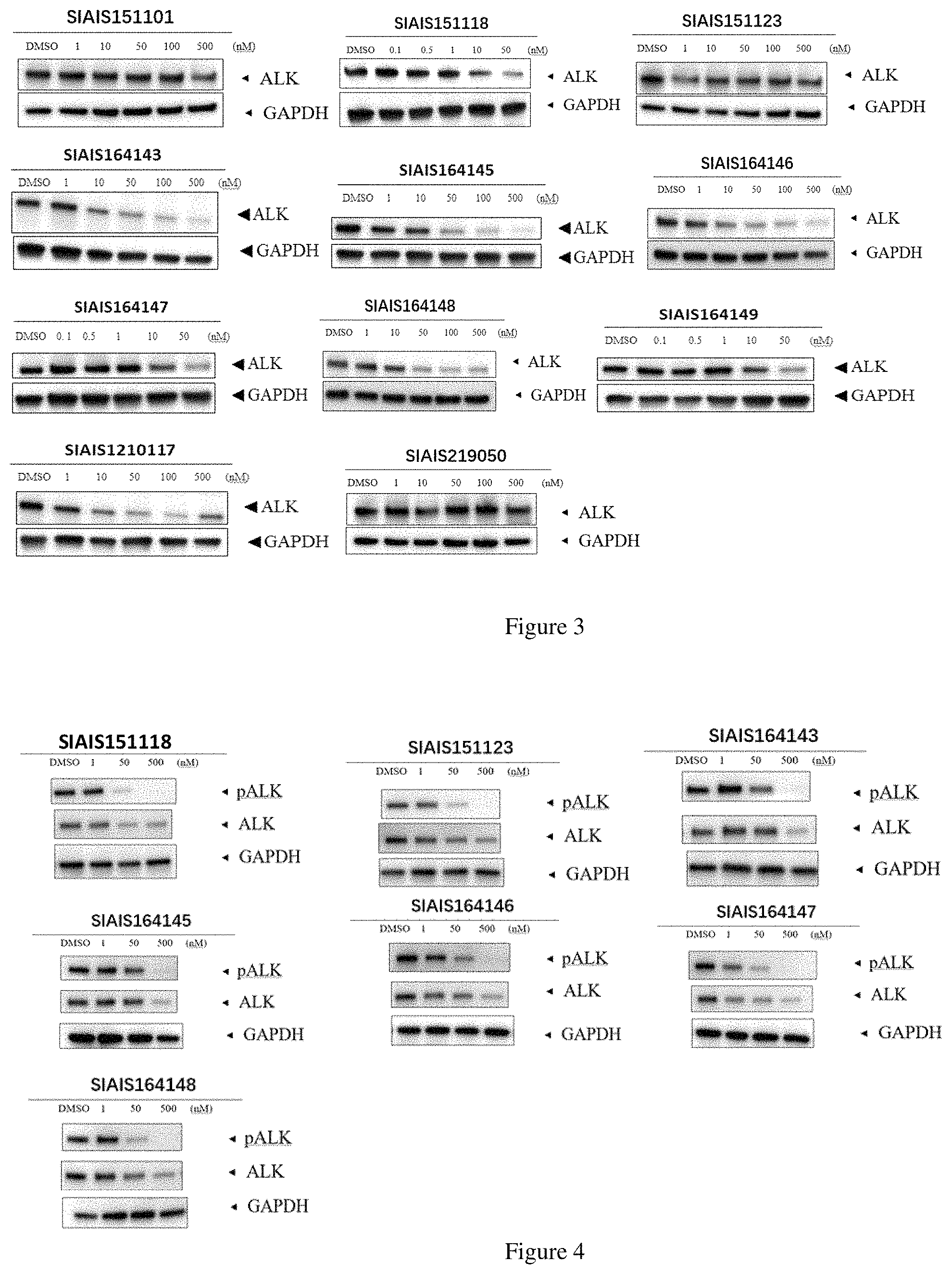 Patent US11771709 Figure 2 – ALK protein degradation agent and anti-tumor application thereof
