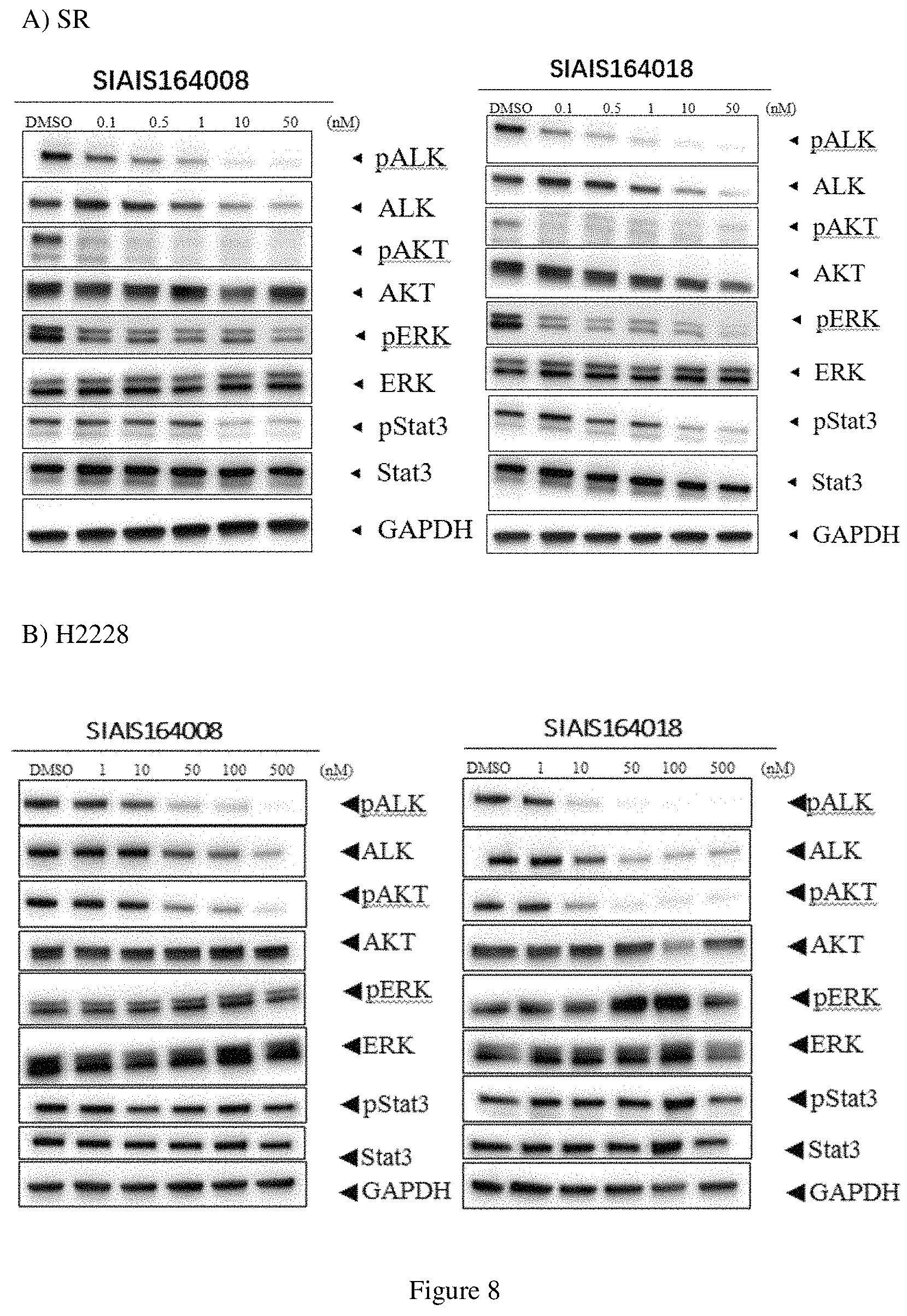 Patent US11771709 Figure 6 – ALK protein degradation agent and anti-tumor application thereof