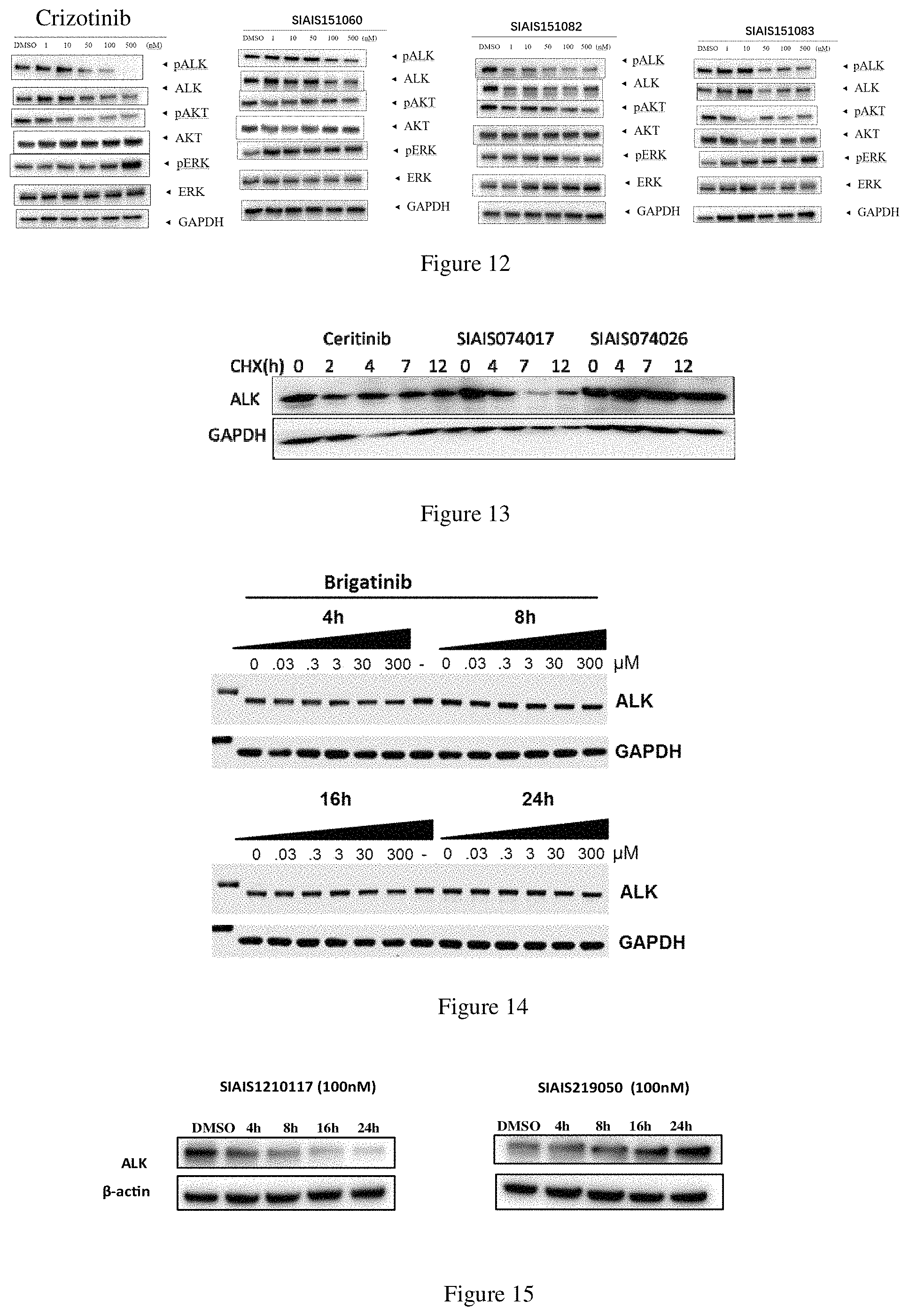 Patent US11771709 Figure 9 – ALK protein degradation agent and anti-tumor application thereof