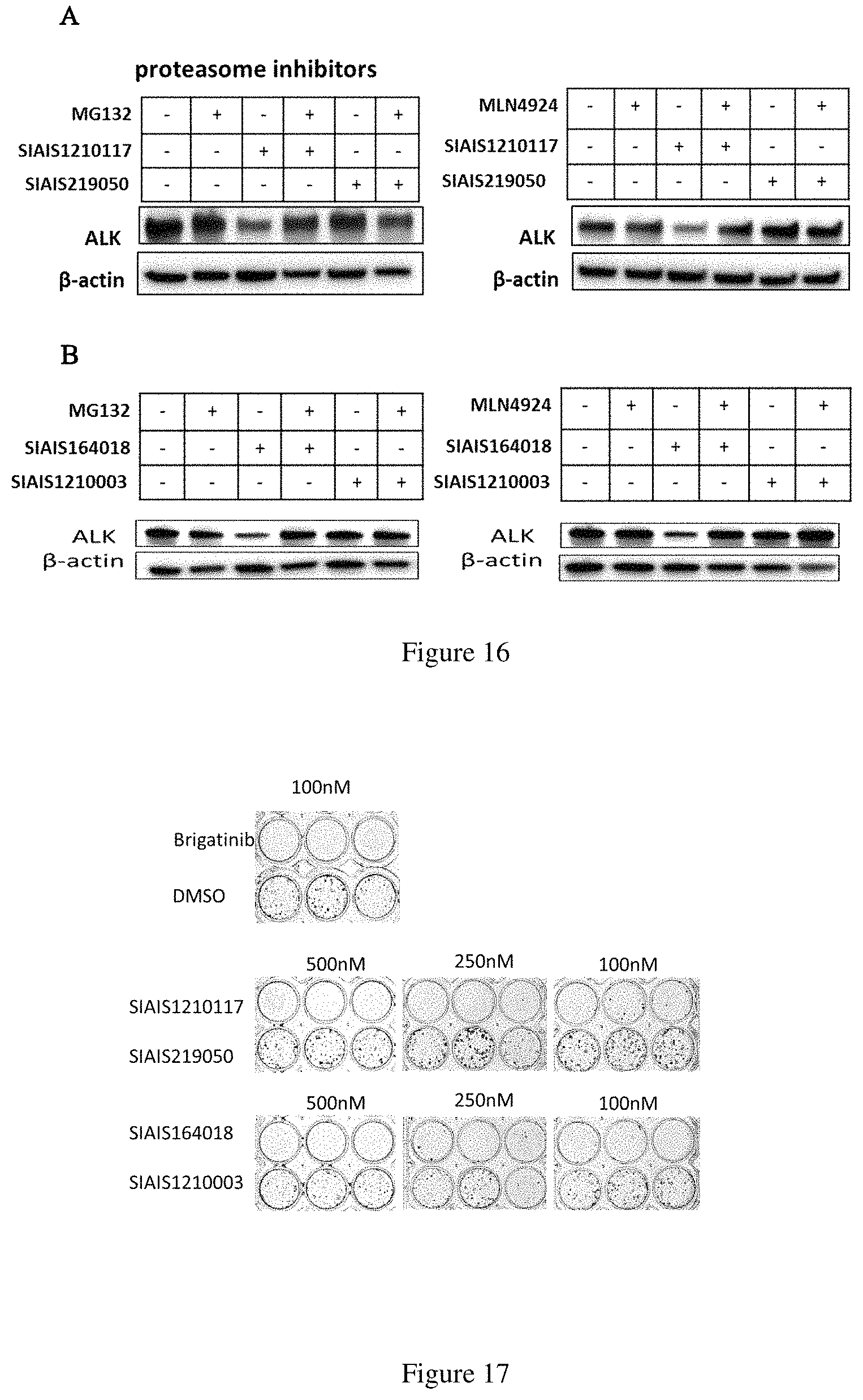 Patent US11771709 Figure 10 – ALK protein degradation agent and anti-tumor application thereof