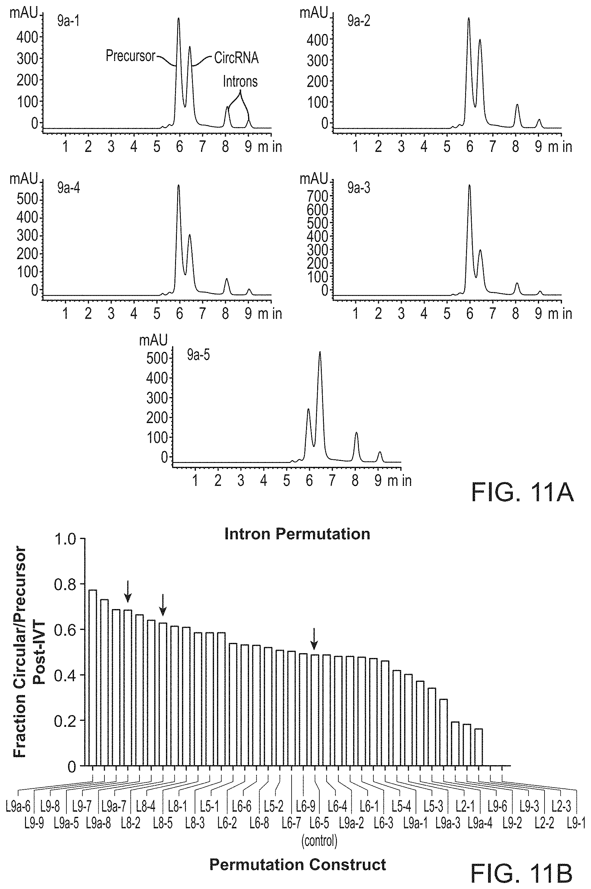 Patent US11771715 Figure 17 – Circular RNA compositions and methods
