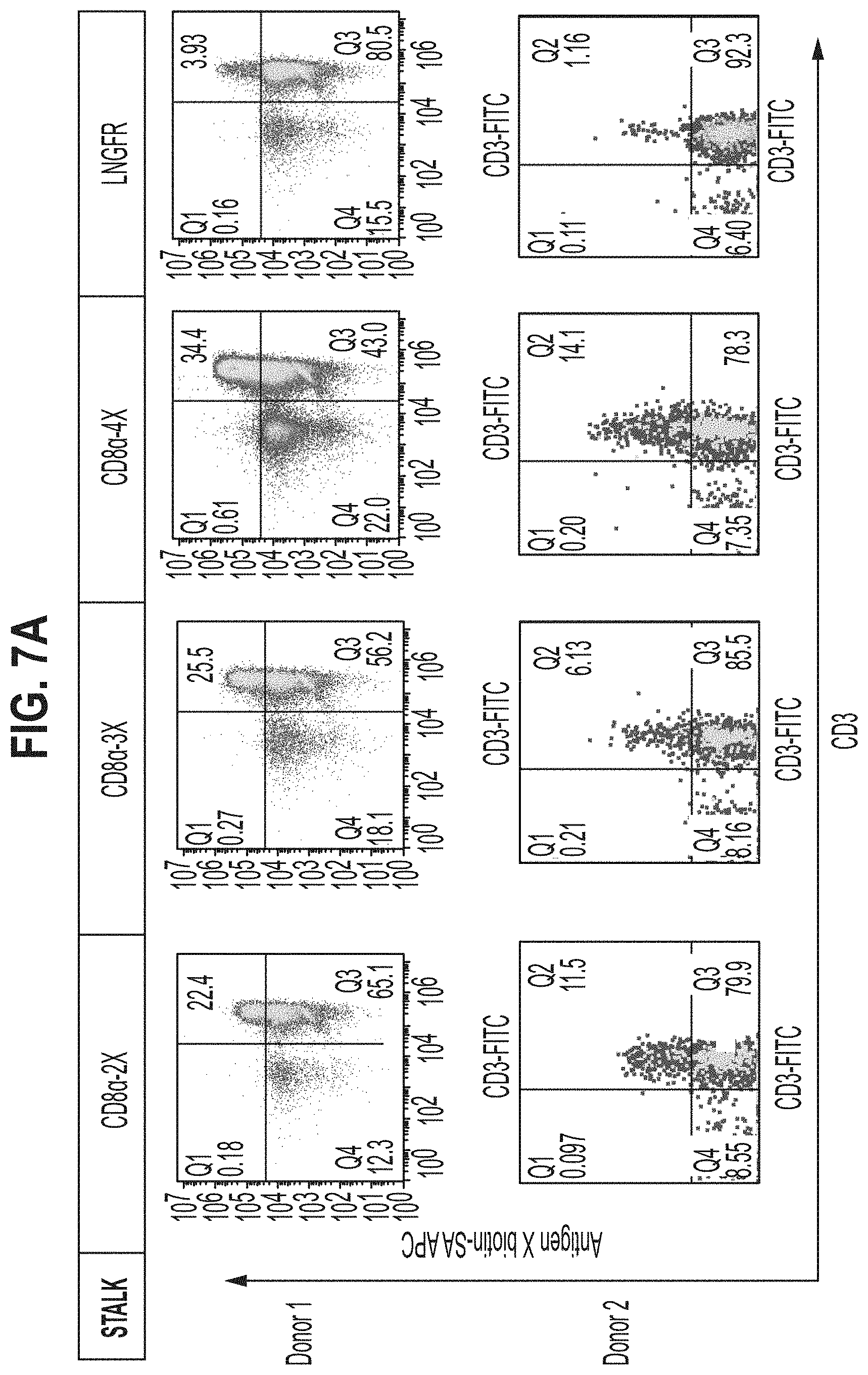 Patent US11771718 Figure 10 – Polypeptide compositions comprising spacers