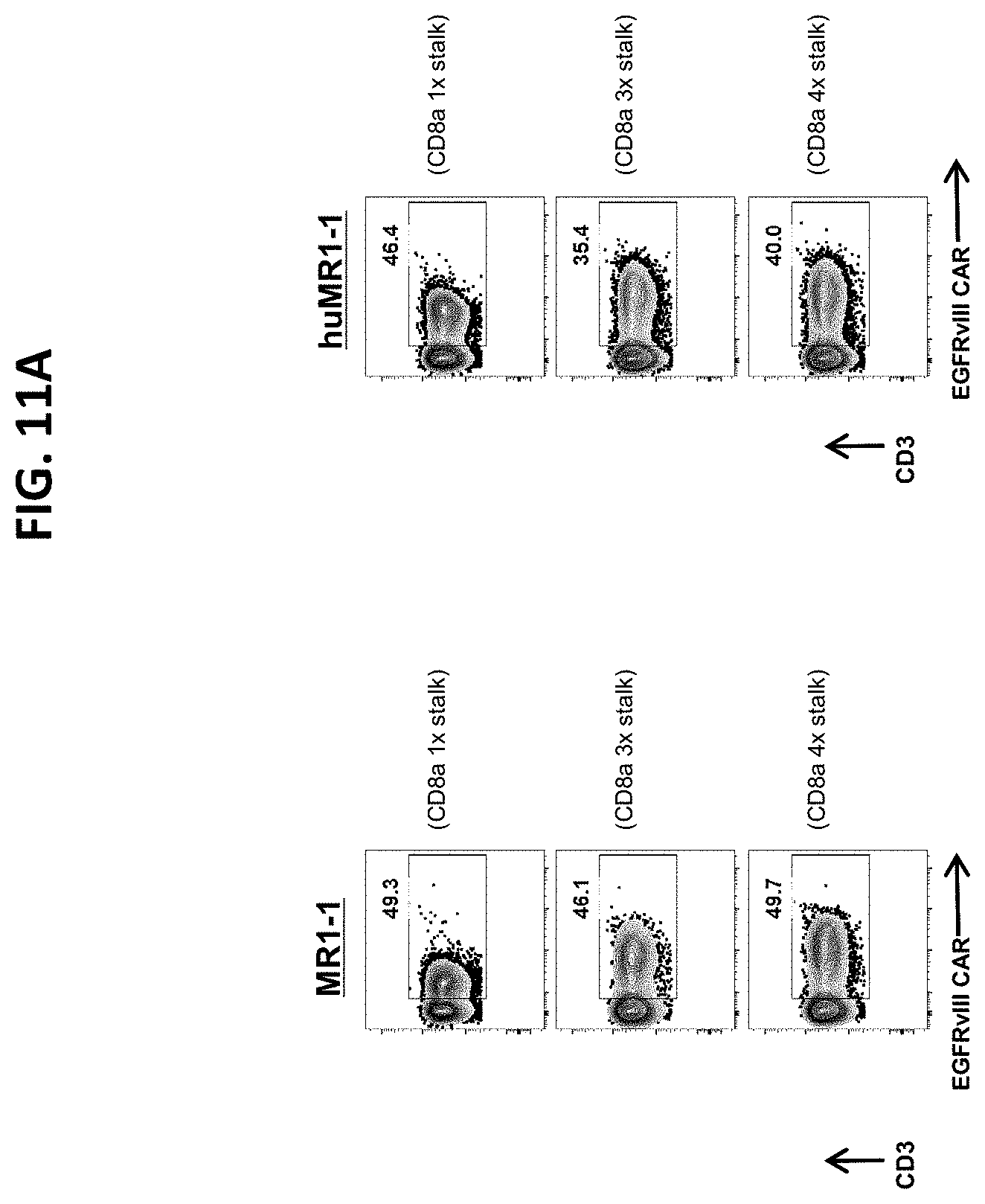 Patent US11771718 Figure 16 – Polypeptide compositions comprising spacers