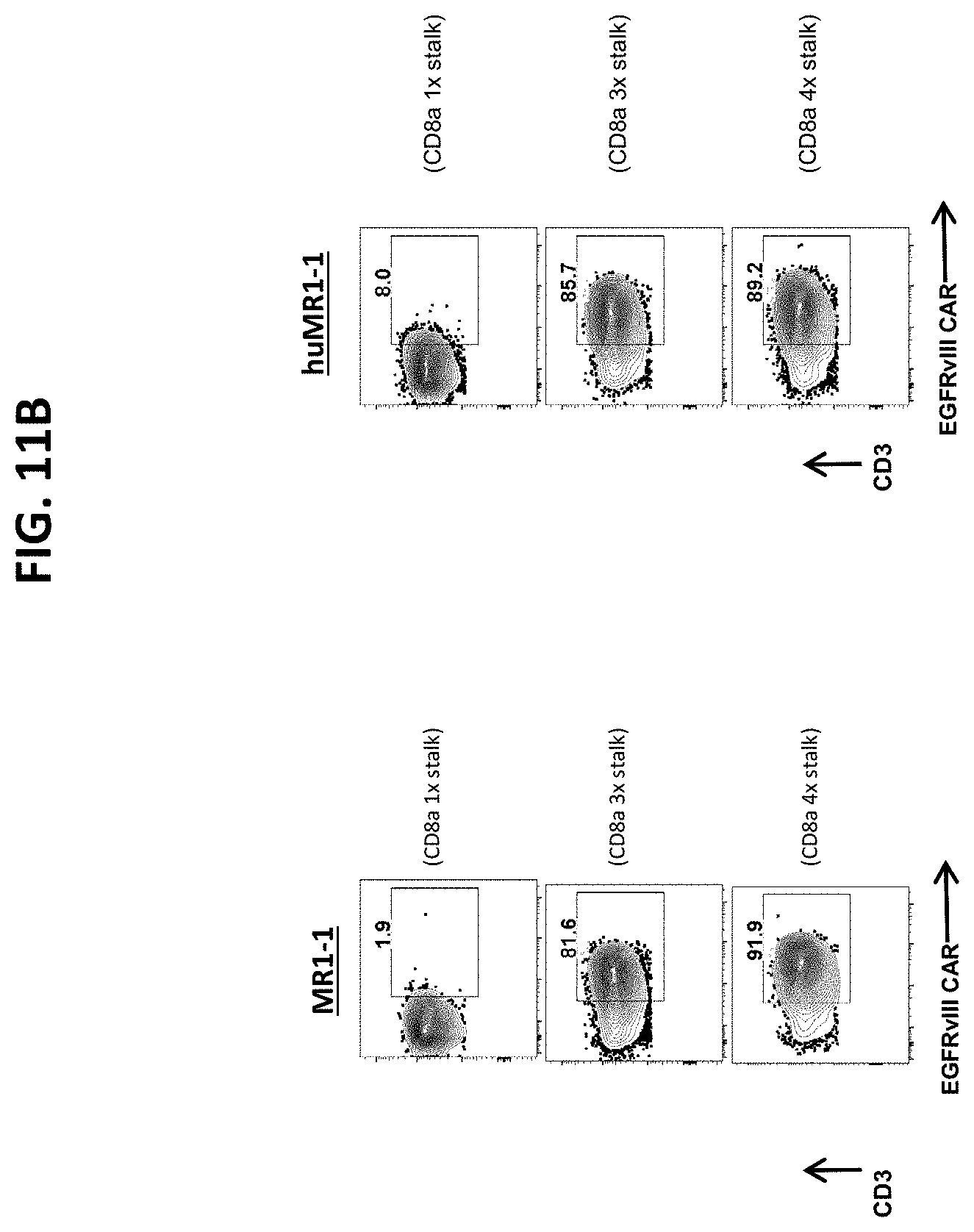 Patent US11771718 Figure 17 – Polypeptide compositions comprising spacers