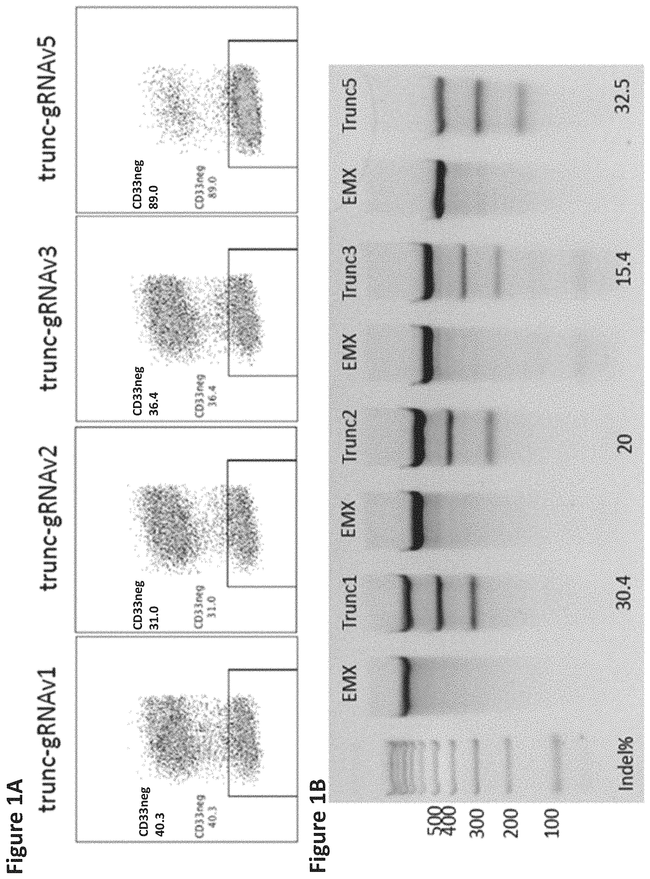 Patent US11771719 Figure 1 – Methods and compositions for gene editing in hematopoietic stem cells